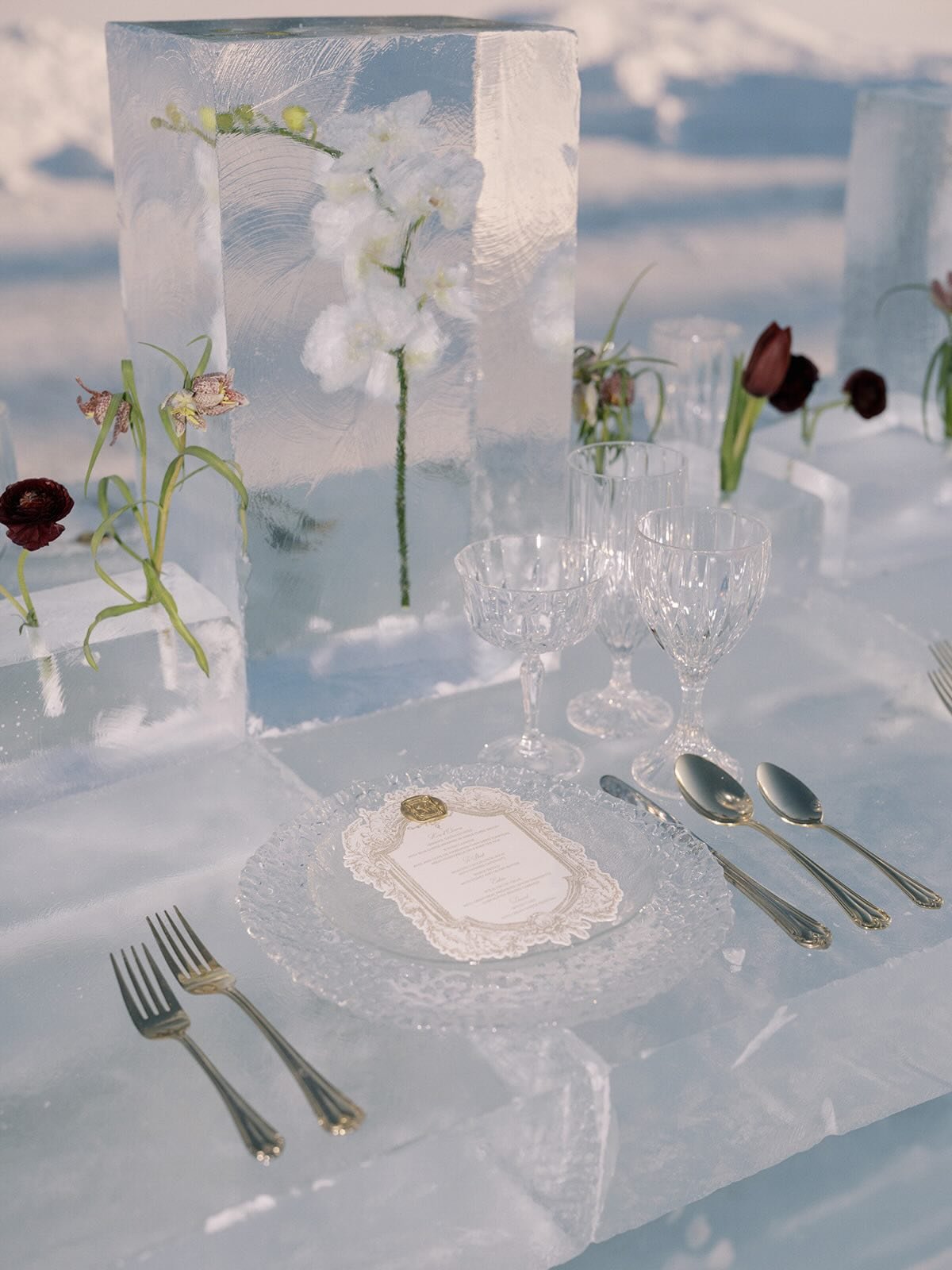 When winter is wintery enough for the ice bar to come out and have a party at!⁠
LOVE this vibe!⁠
.⁠
.⁠
.⁠
Venue: @archwaymanor⁠
Planning + Design: @nicolelouise.coutureevents⁠
Photography: @miltonphoto⁠
Content Creator: @contentbutler⁠
Videographer: 