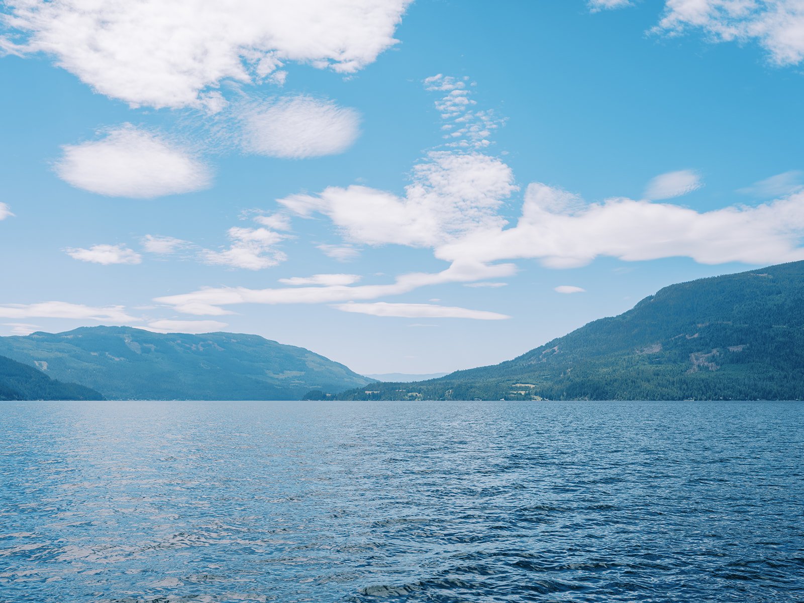 sicamous BC wedding photographer