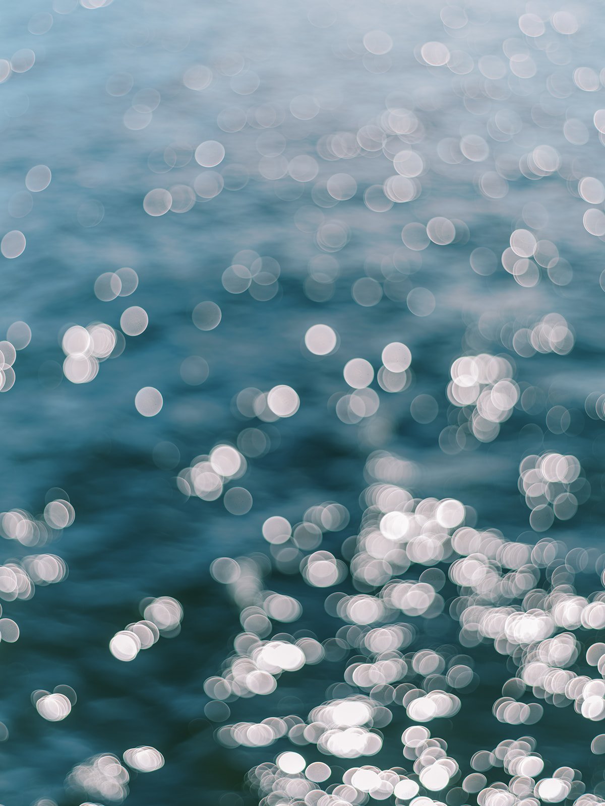 Justine Milton Photography-203_websize (2).jpg