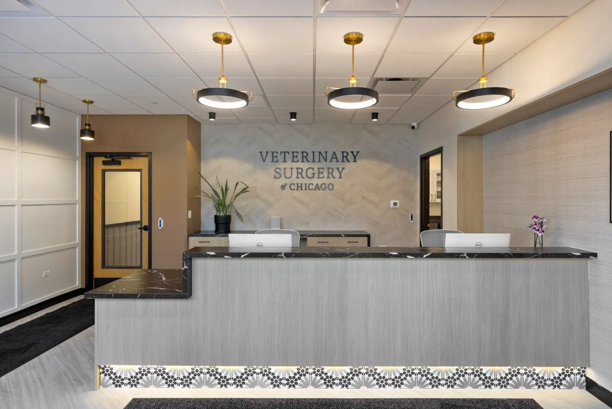 VSx Chicago Lobby
