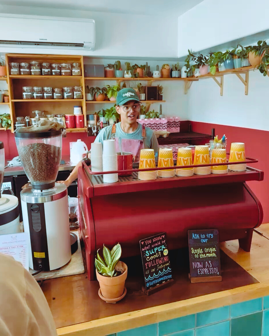 A barista behind a coffee counter with colorful cups, brewing equipment, and potted plants in the background, inside a coffee shop.