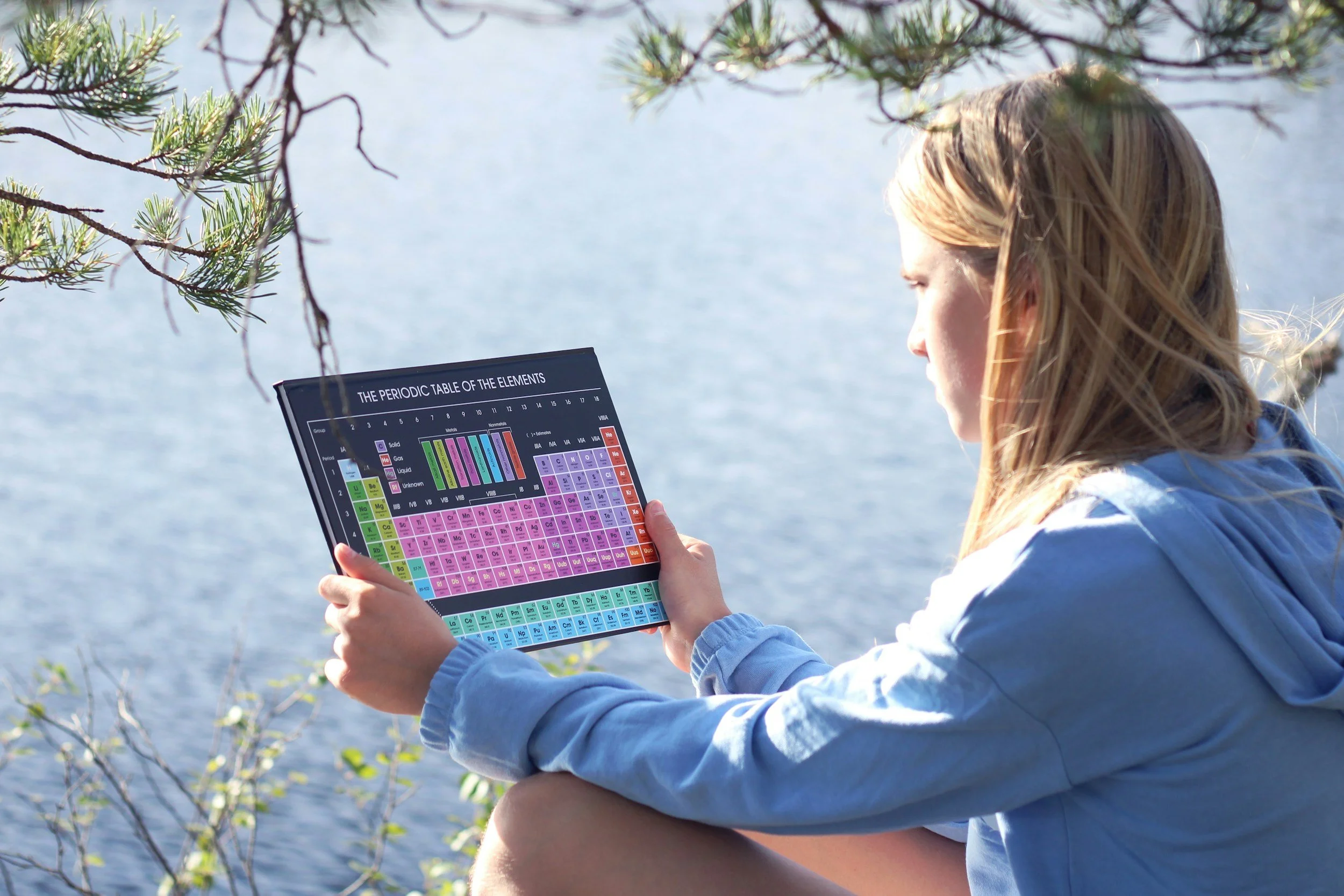 Understanding the Degree of Deacetylation: The Key to Unlocking Chitosan’s True Potential