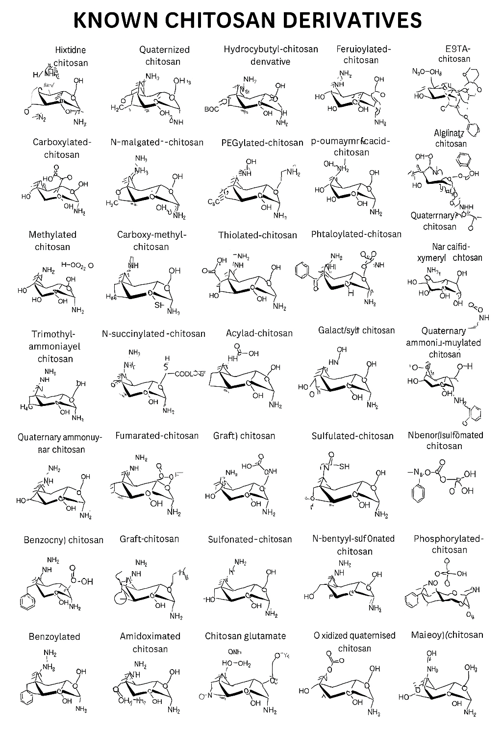 A chart displaying various chemical structures of known chitosan derivatives, including chemical names such as Heptitide chitosan, Quaternized chitosan, Hydroxybutyl-chitosan, and others, each with chemical structure diagrams.