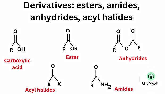 Diagram showing chemical structures of derivatives: carboxylic acid, ester, anhydrides, acyl halides, and amides, with labels in red text.