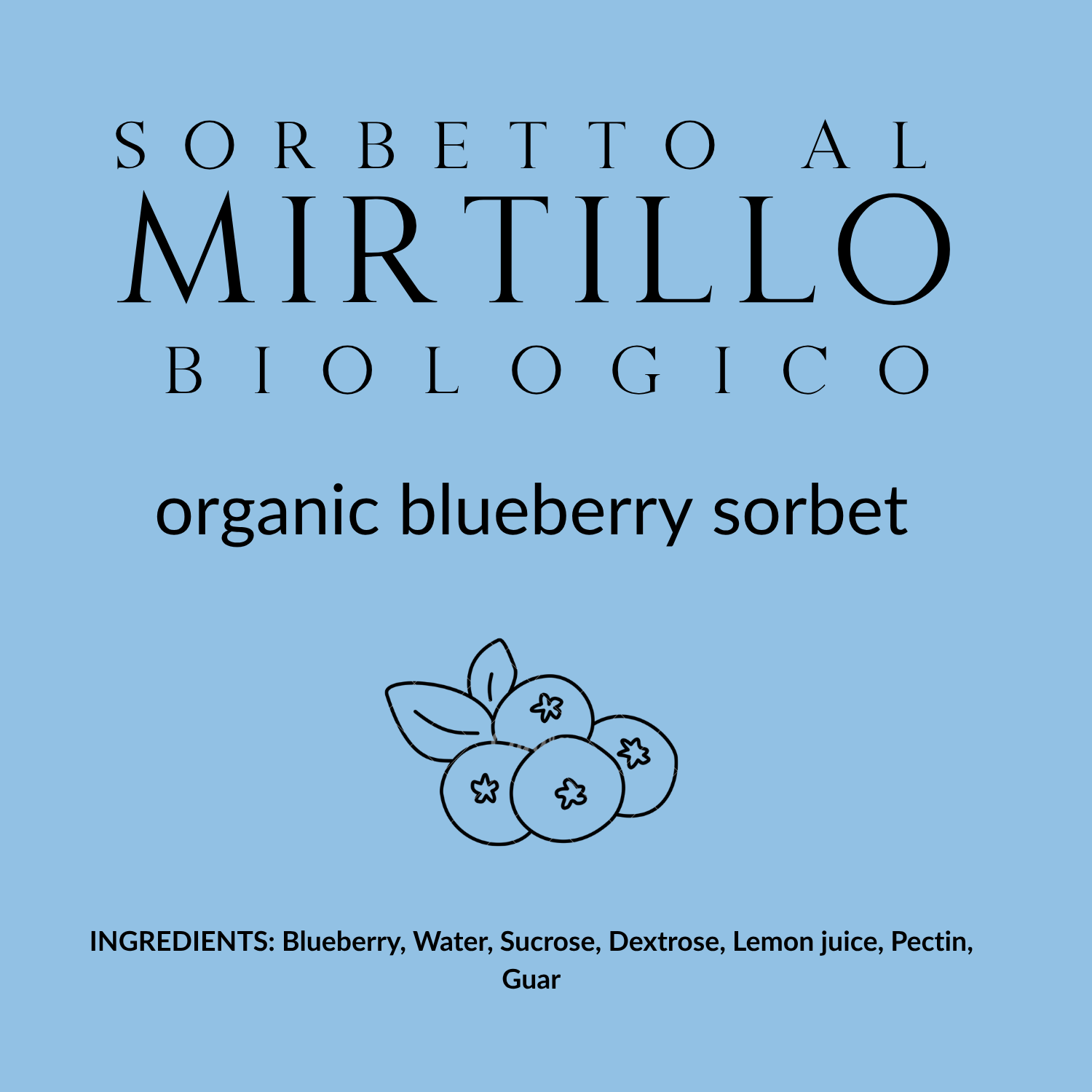Sorbetto al Mirtillo Organico