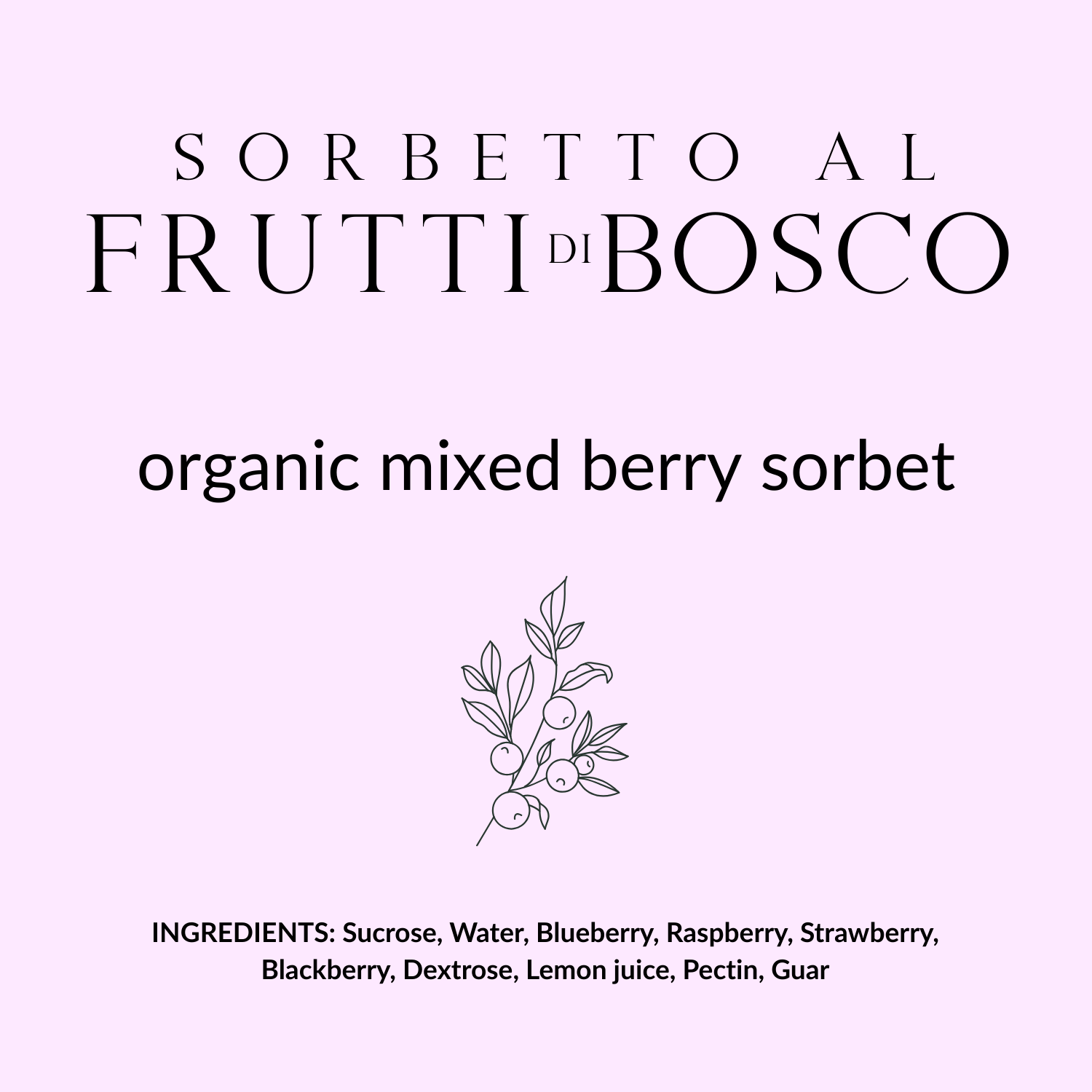 Sorbetto al Frutti di Bosco