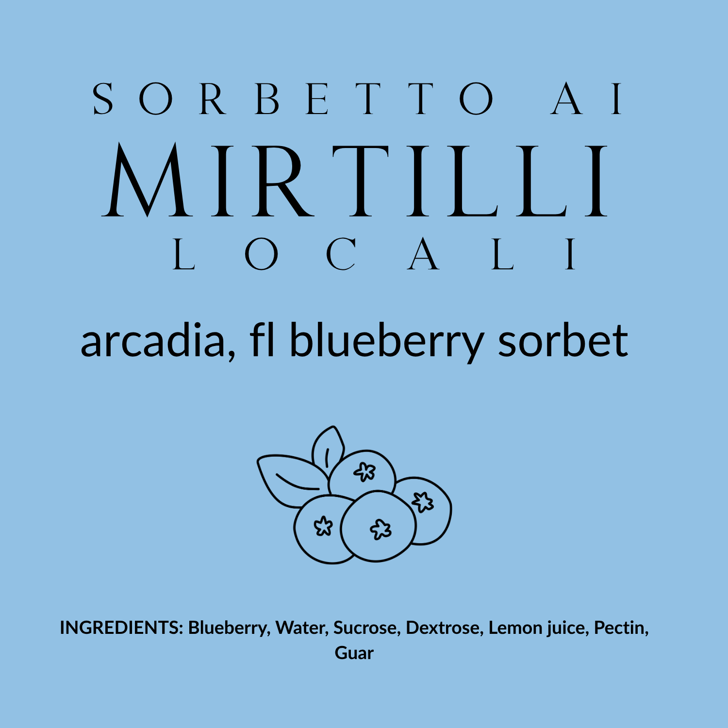 Sorbetto ai Mirtilli Locali