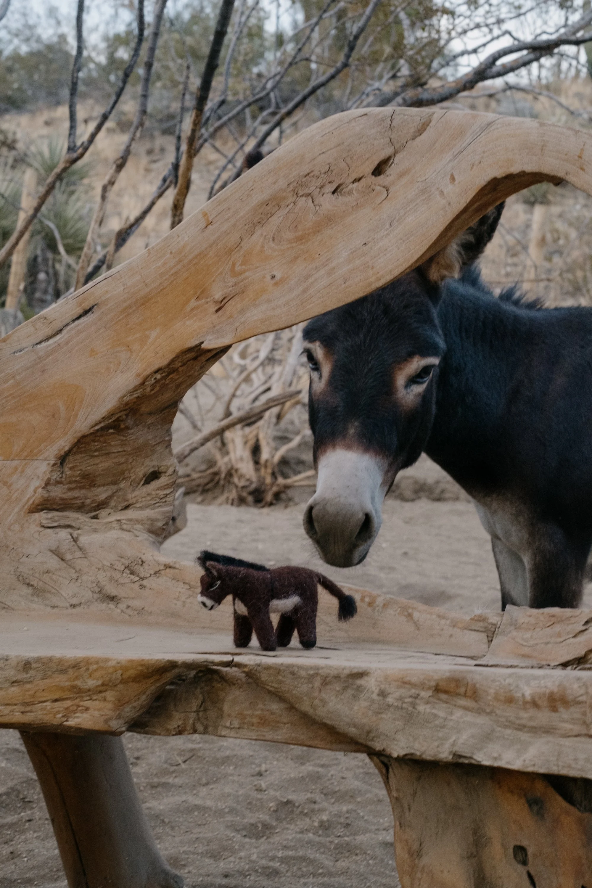 Felted Wool Donkeys-060.jpg