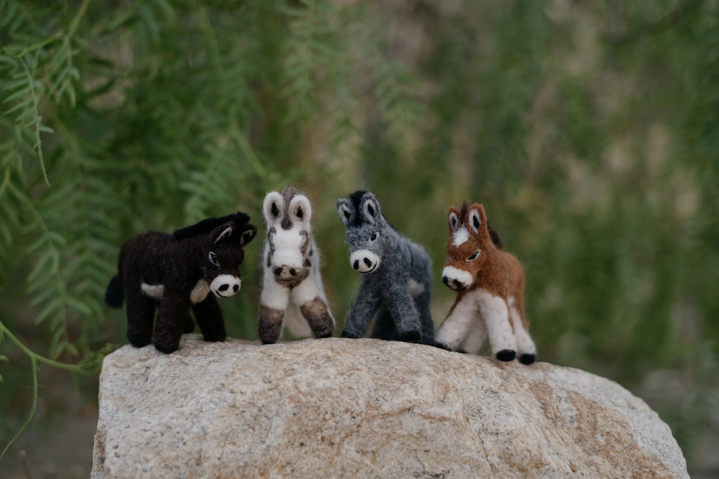 Felted Wool Donkeys-008.jpg