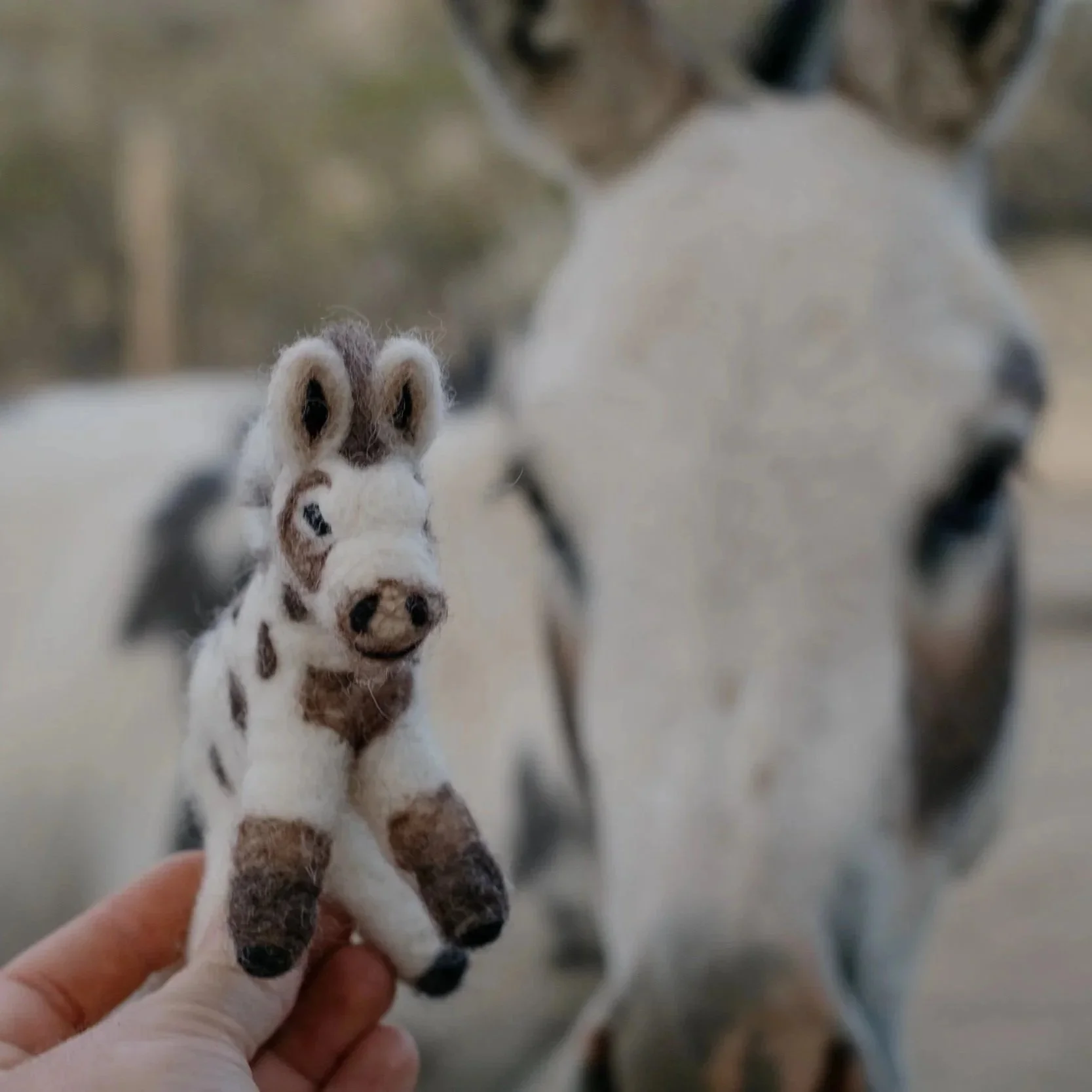 Felted%2BWool%2BDonkeys-066.jpg