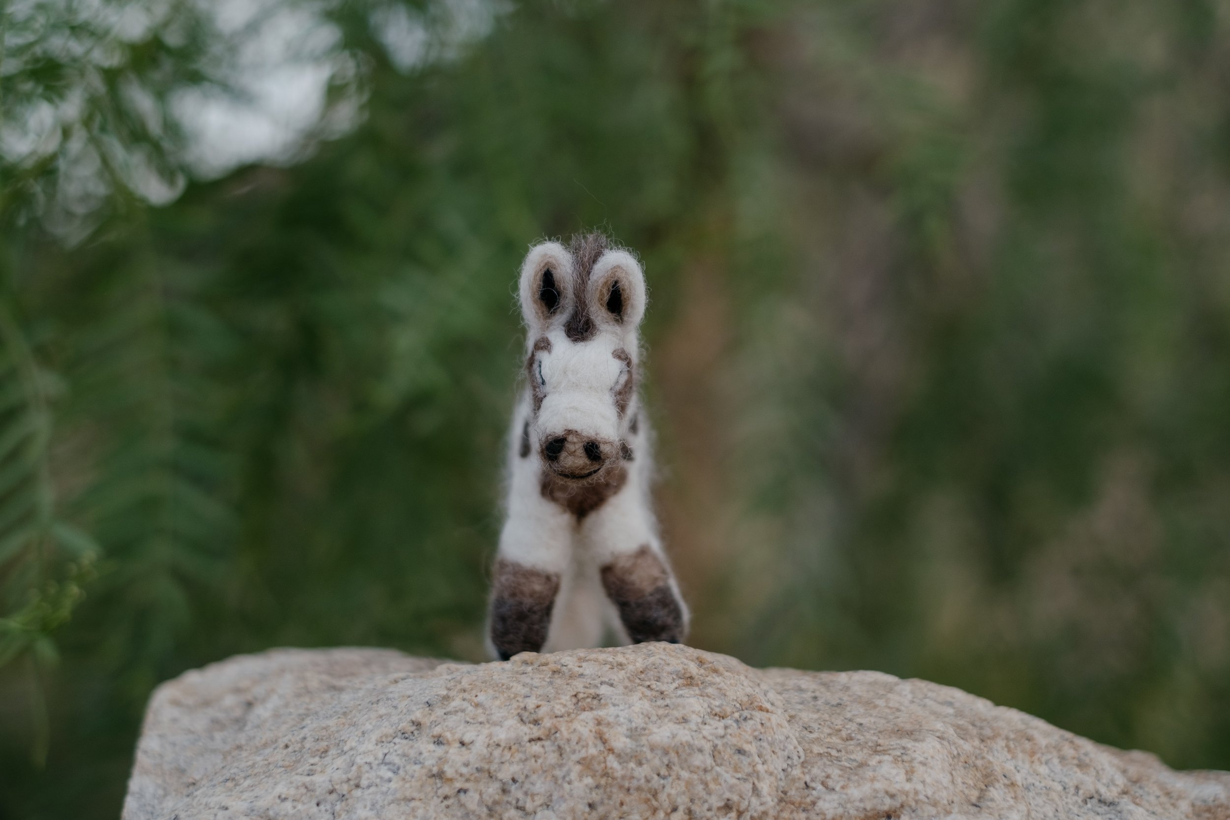 Felted Wool Donkeys-020.jpg