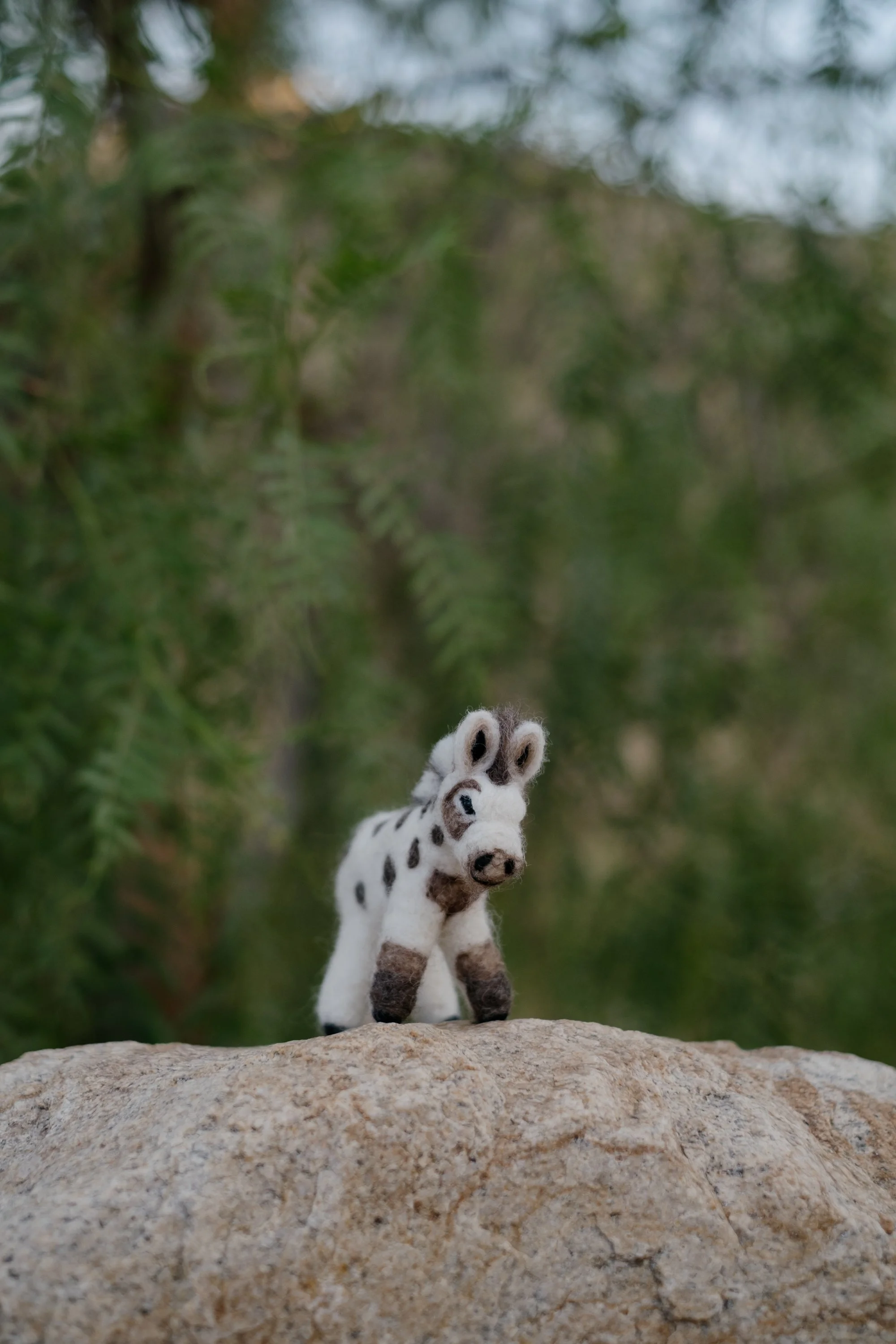 Felted Wool Donkeys-014.jpg