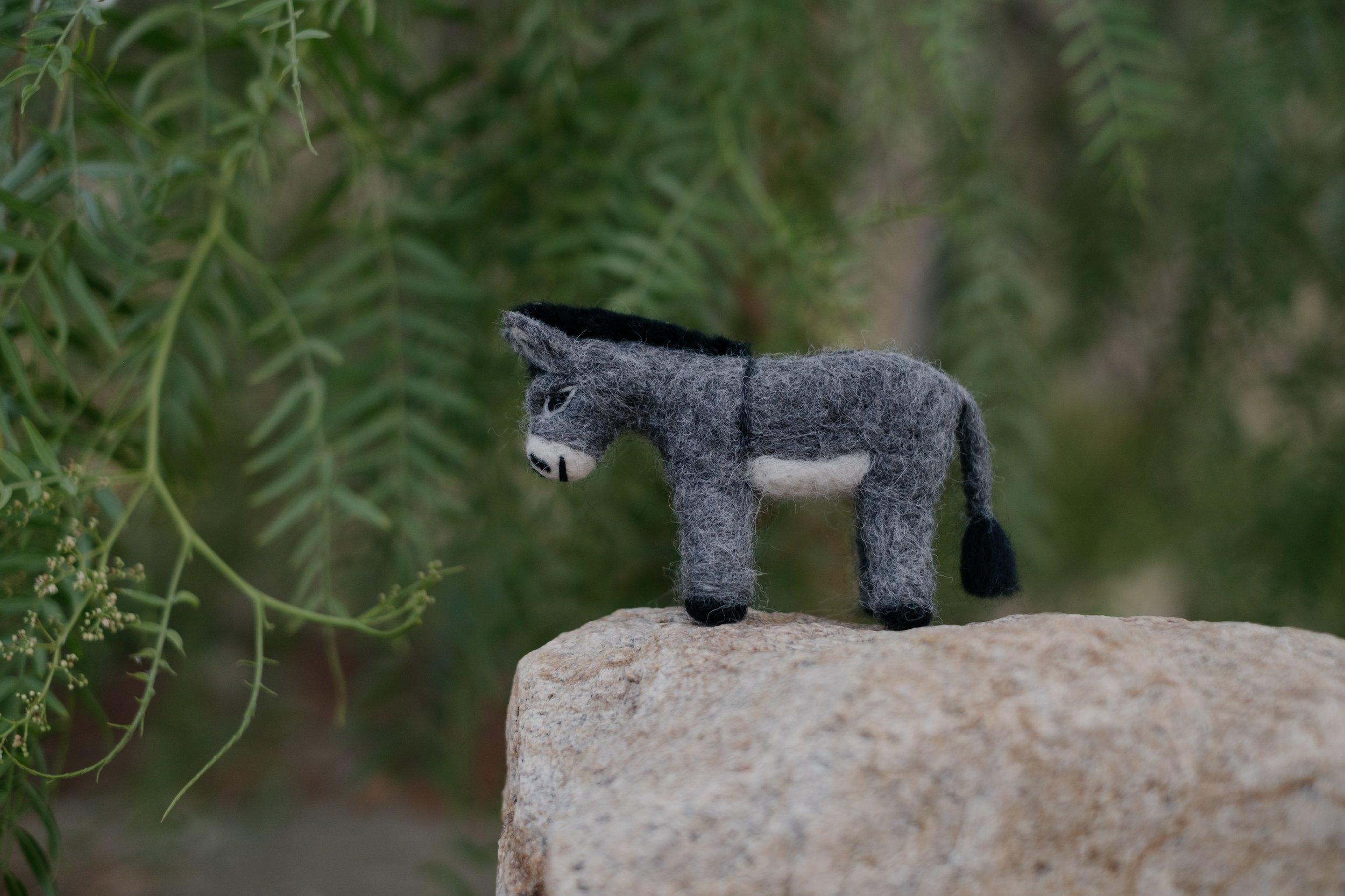 Felted Wool Donkeys-040.jpg
