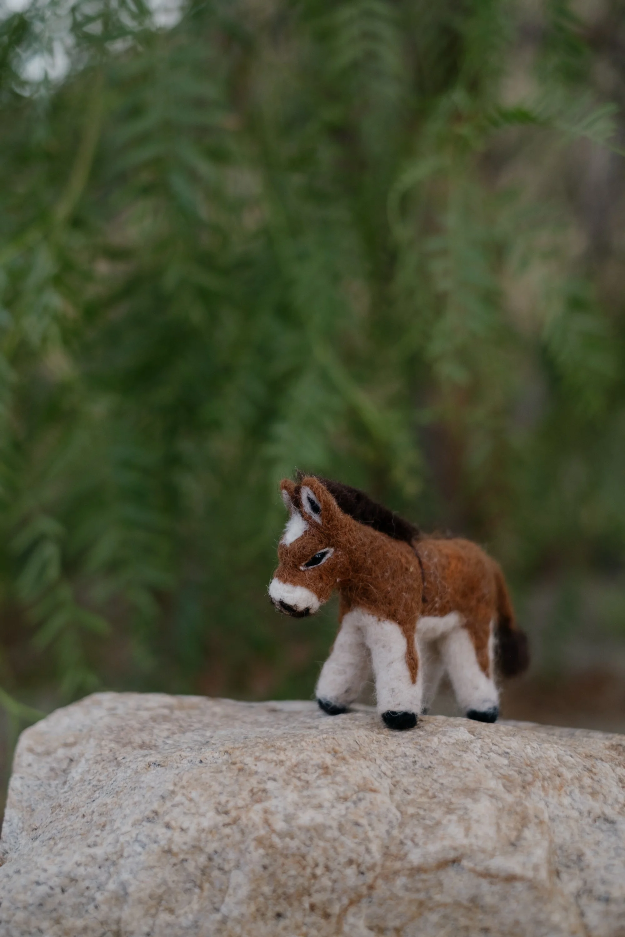 Felted Wool Donkeys-031.jpg