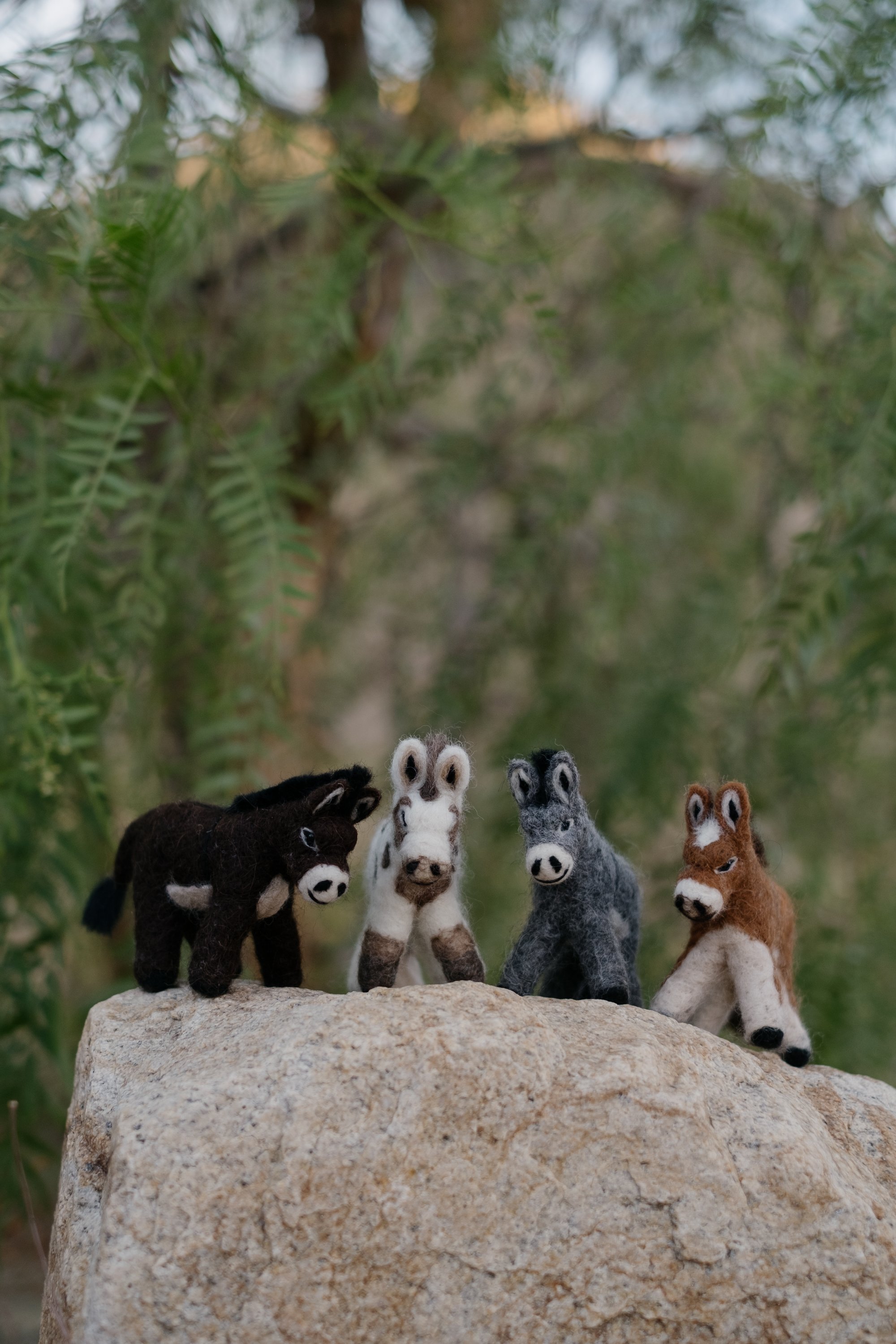 Felted Wool Donkeys-011.jpg