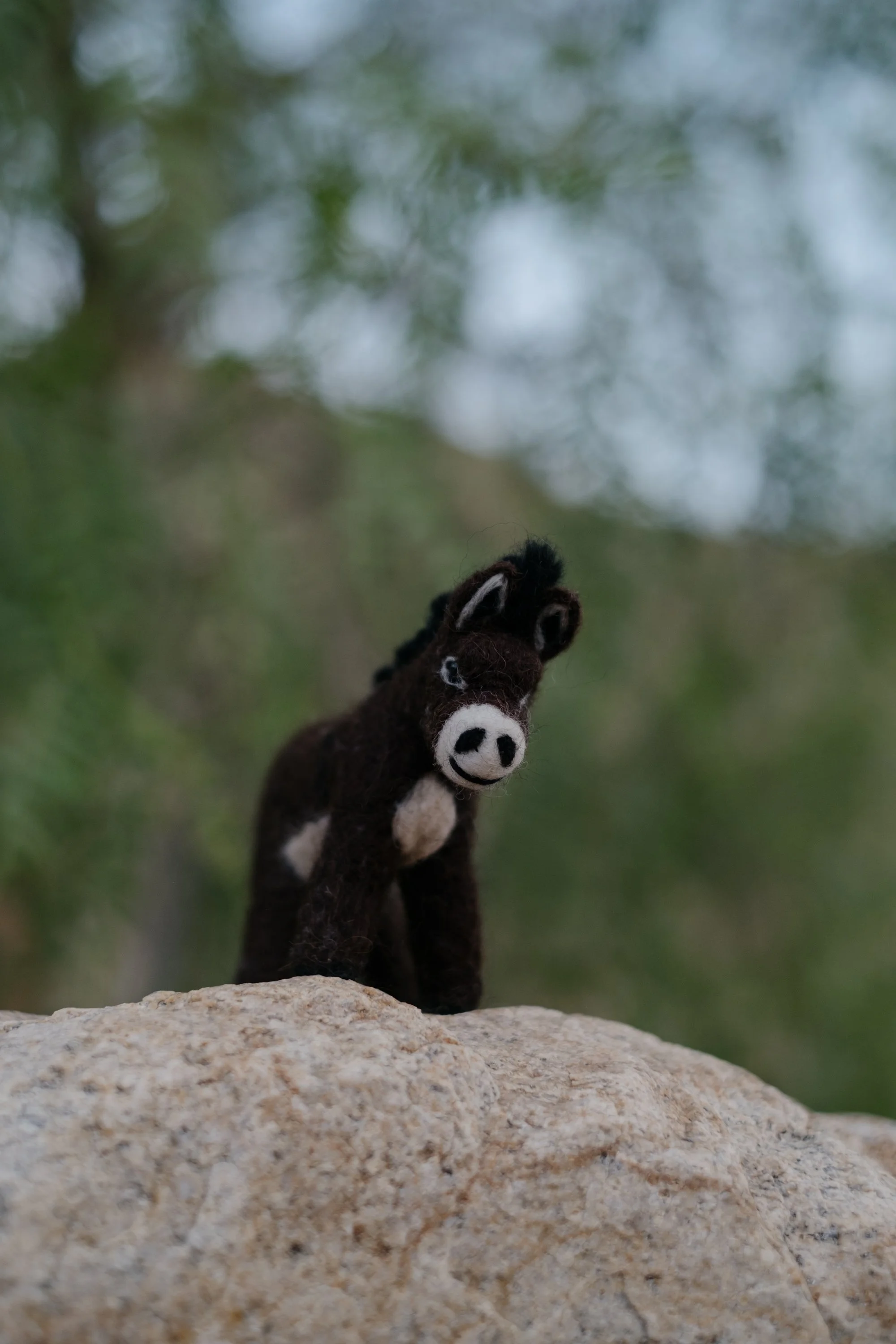 Felted Wool Donkeys-045.jpg