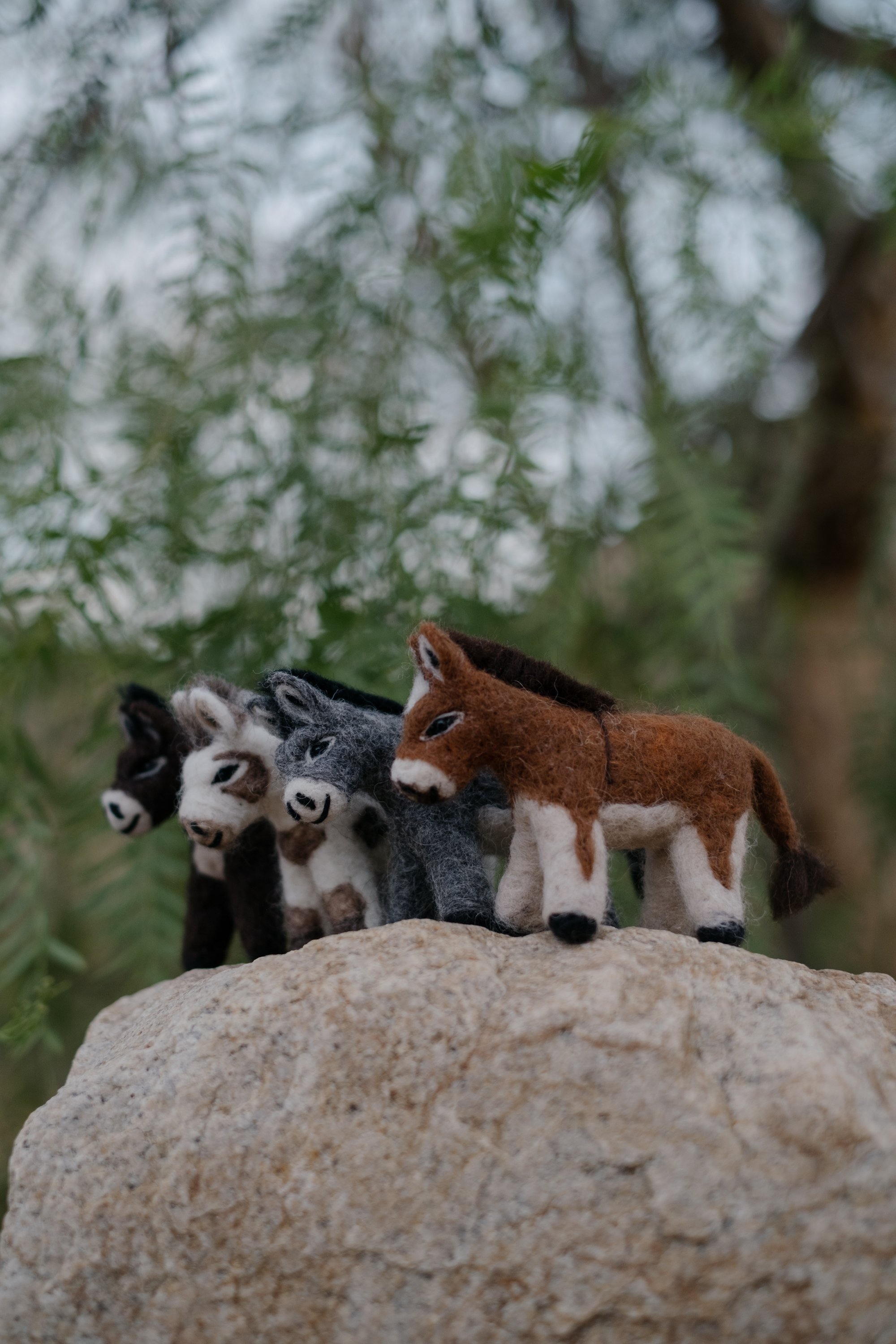 Felted Wool Donkeys-053.jpg