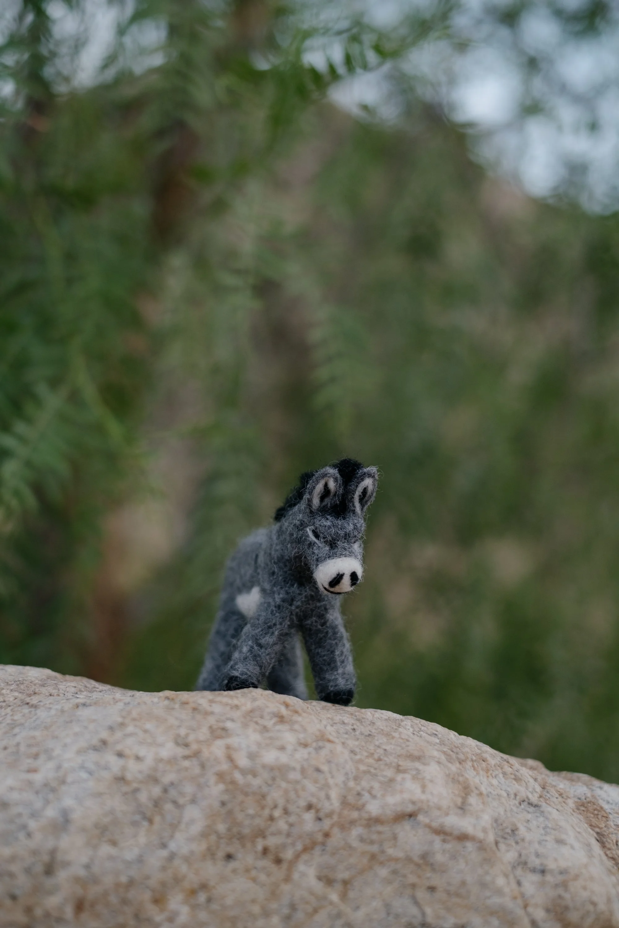 Felted Wool Donkeys-038.jpg