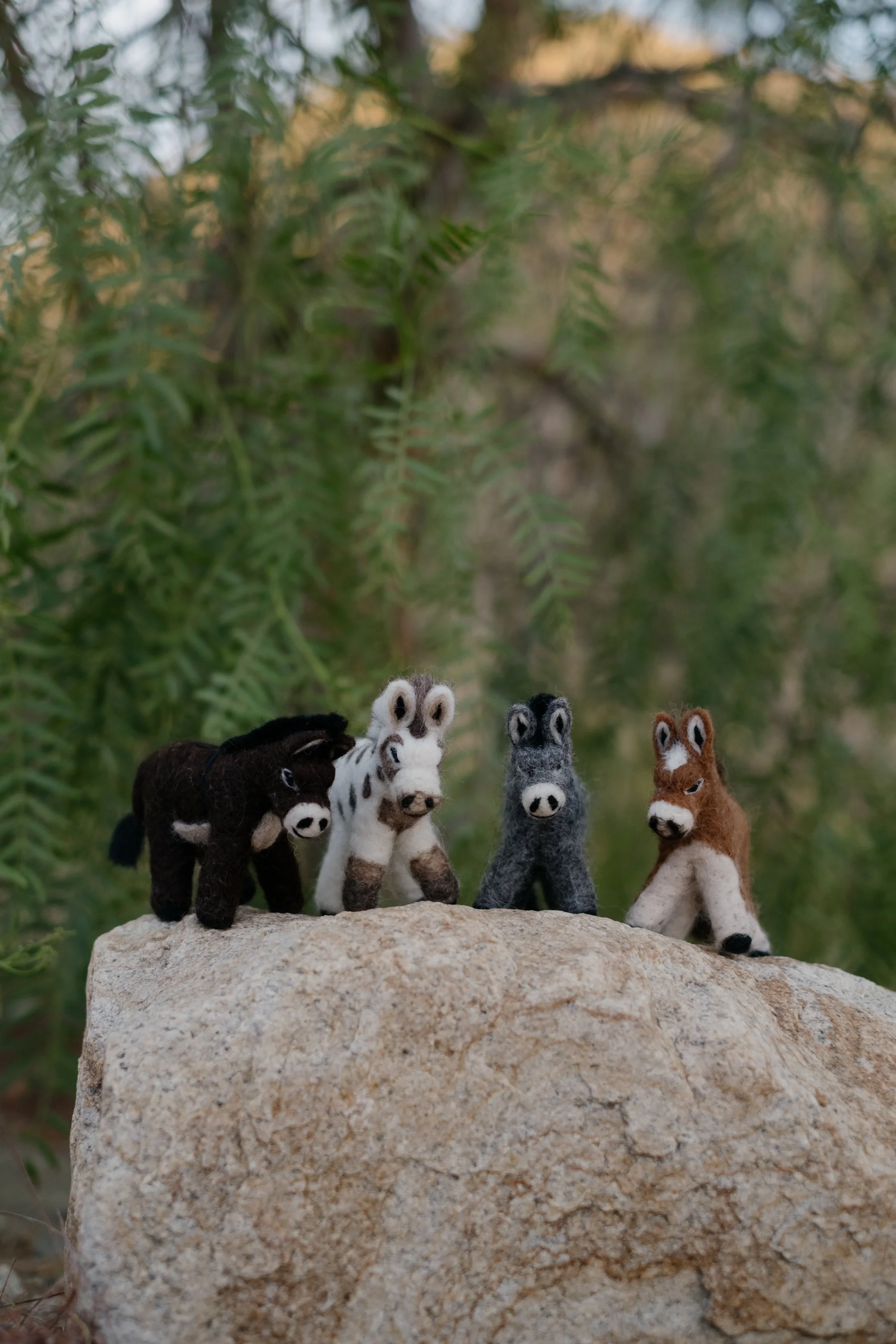 Felted Wool Donkeys-007.jpg