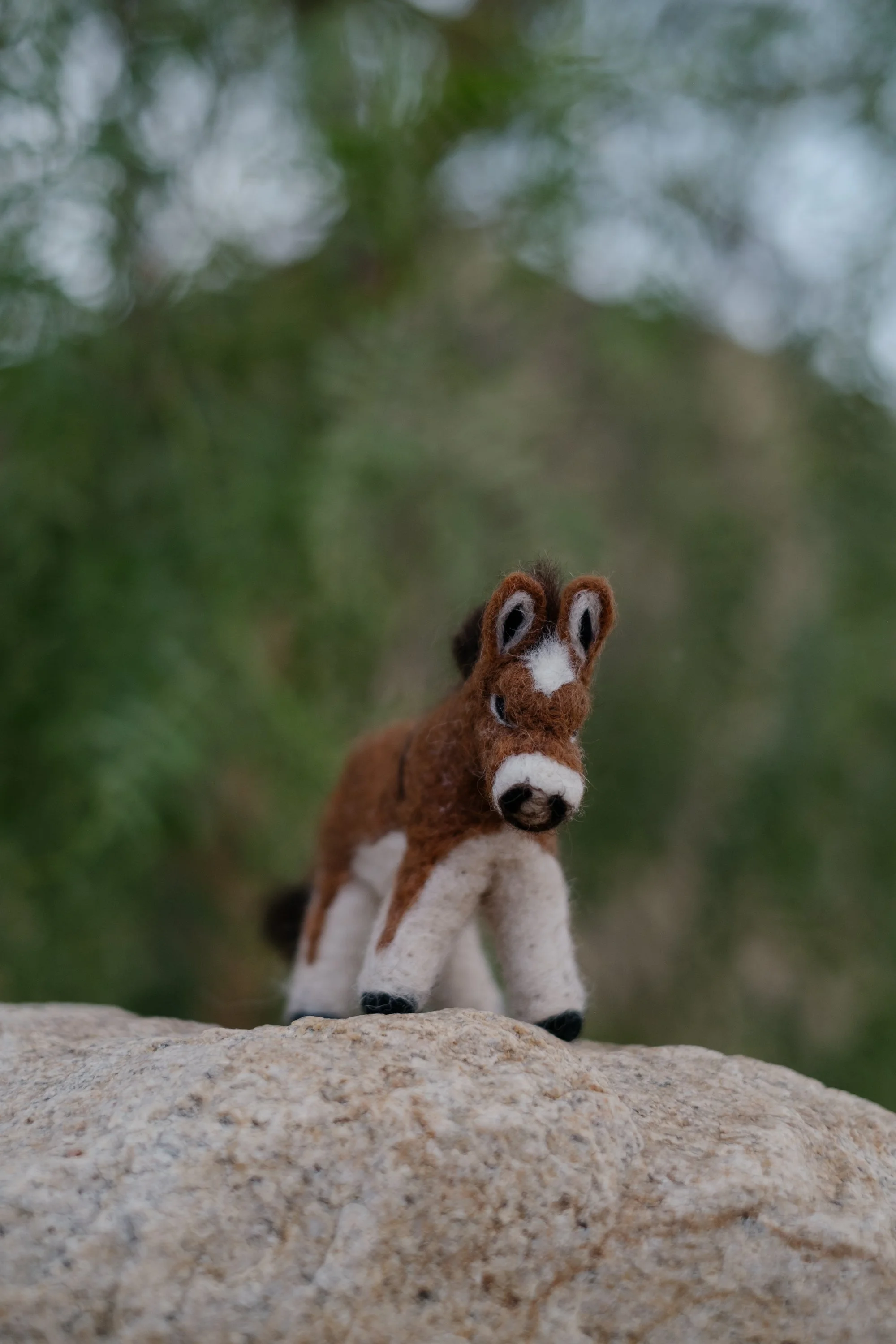 Felted Wool Donkeys-034.jpg