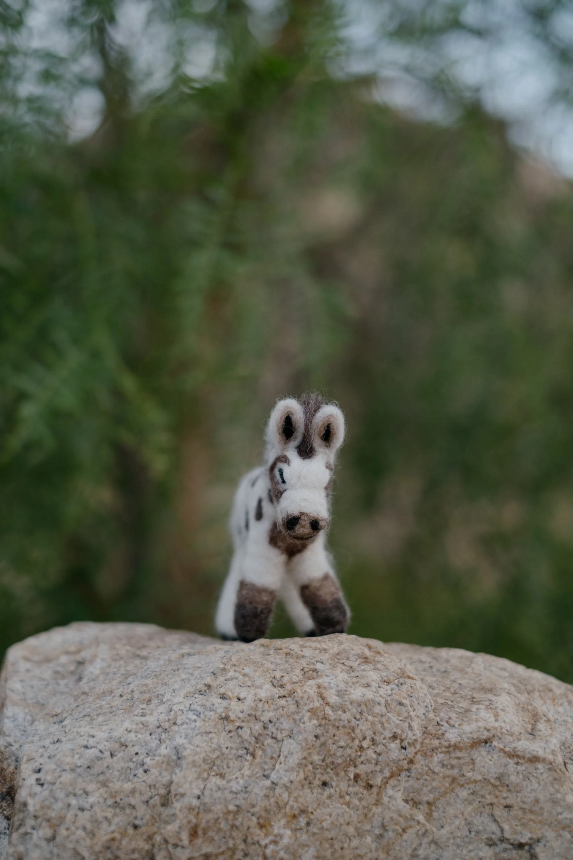 Felted Wool Donkeys-021.jpg