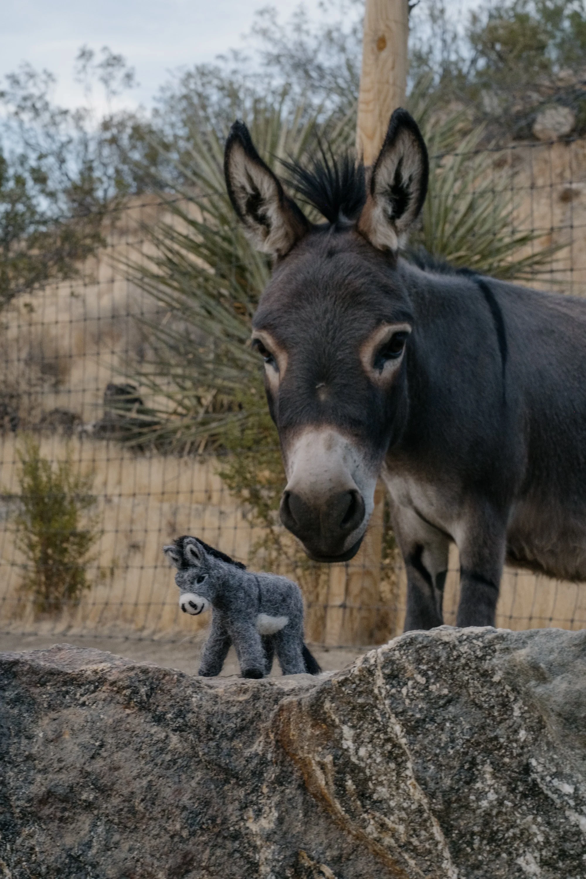 Felted Wool Donkeys-054.jpg