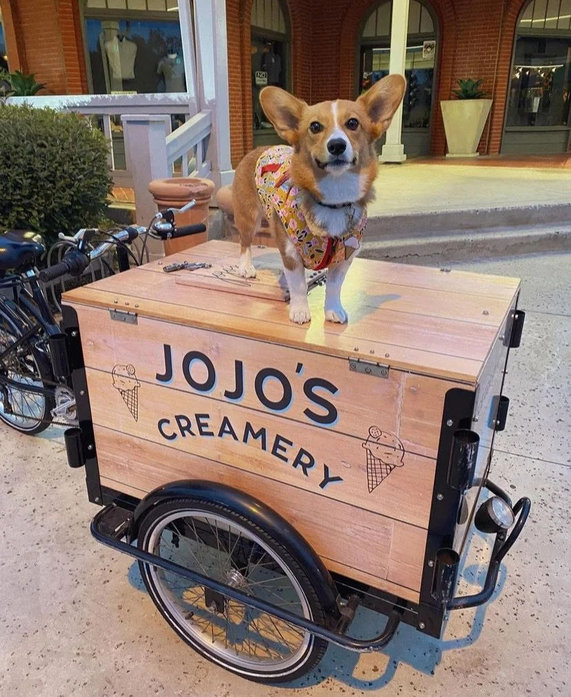 We will be opening early on May 17th for Cyclovia!

Bike or walk down to JoJo&rsquo;s and grab a scoop, we&rsquo;ll be opening at 11am!🍦

Cyclovia Encinitas is a free, car-free celebration where downtown comes alive with bikes, walkers, rollers, and