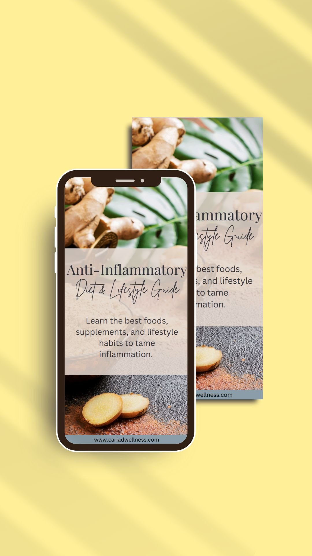 Anti-Inflammatory Diet & Lifestyle Guide