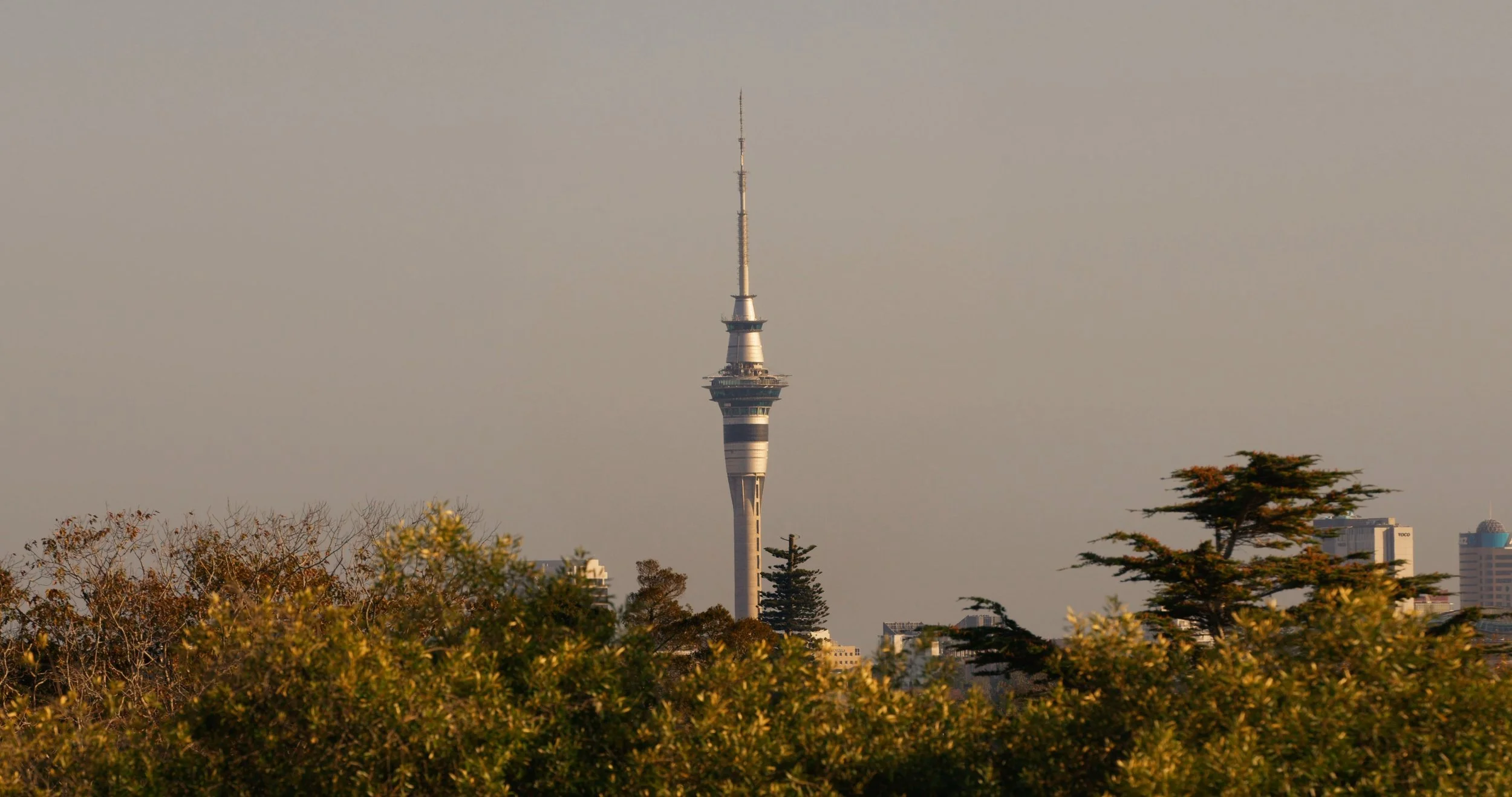 The Difference’s Between Architectural and Real Estate Videos