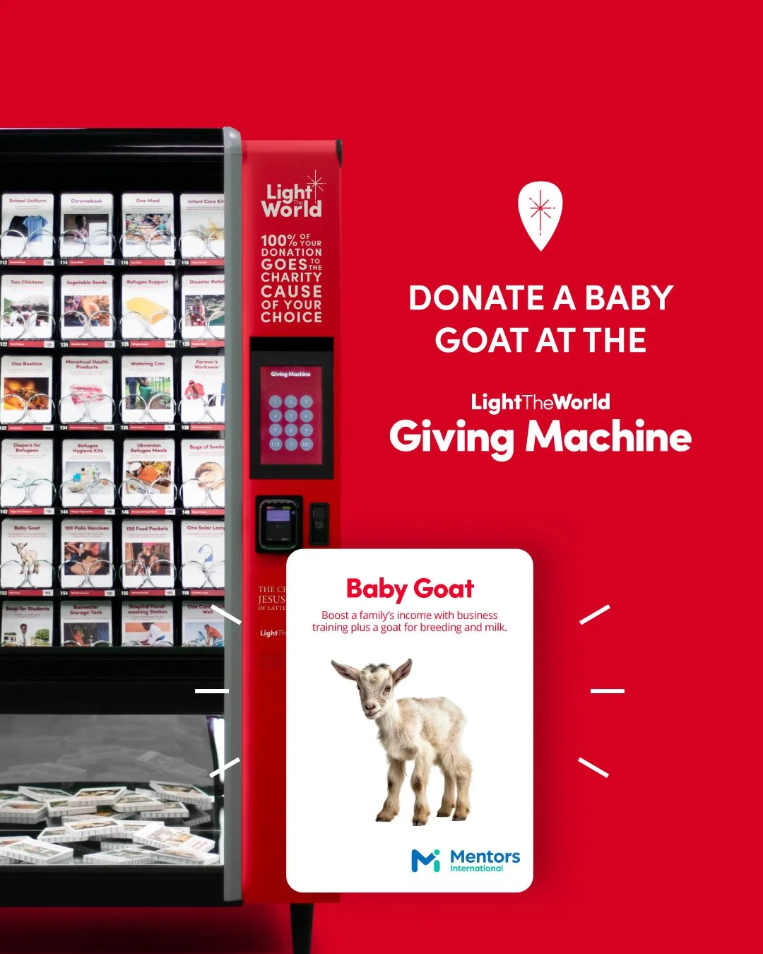Baby Goat 4x5.jpg