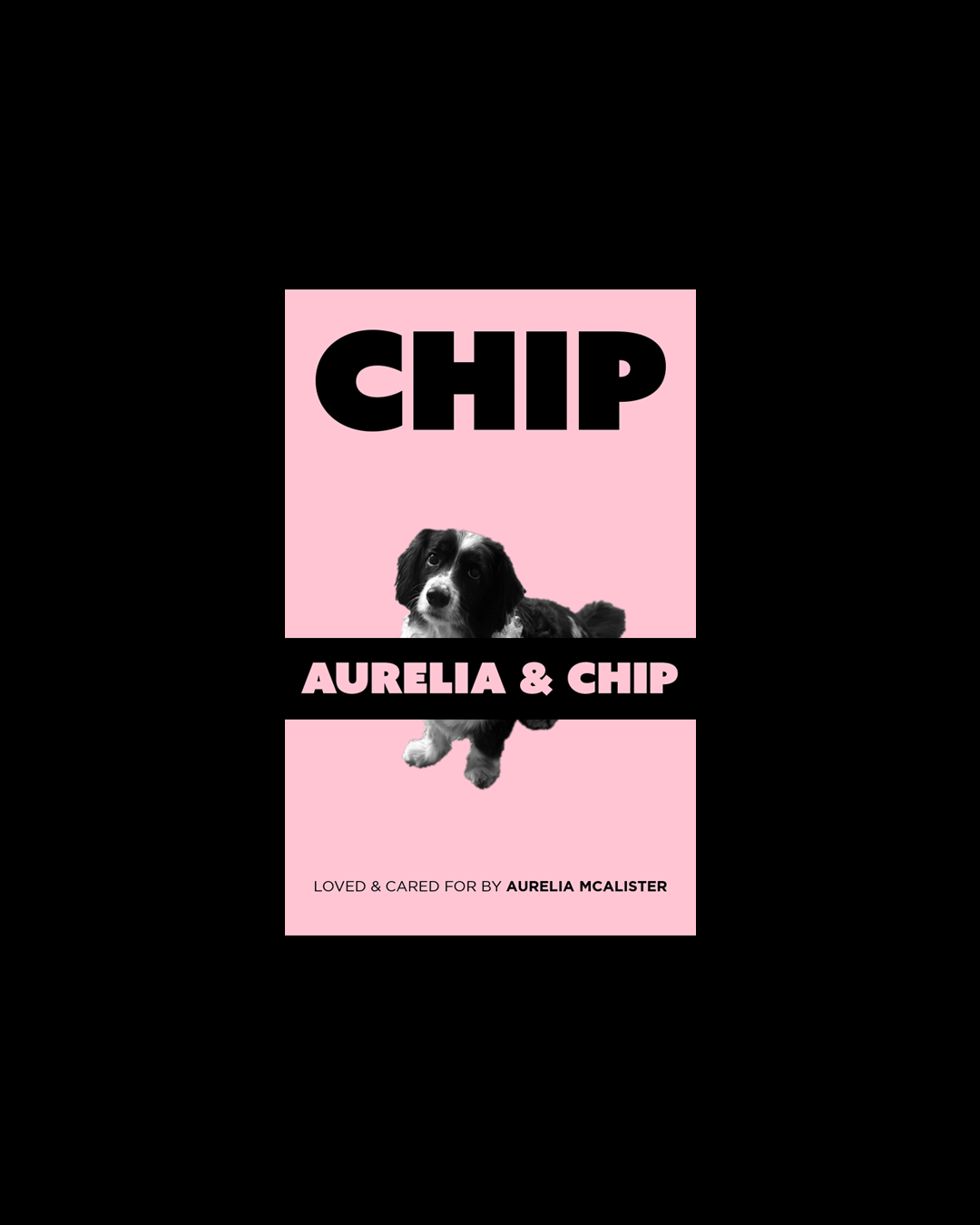Chip-Gif.gif