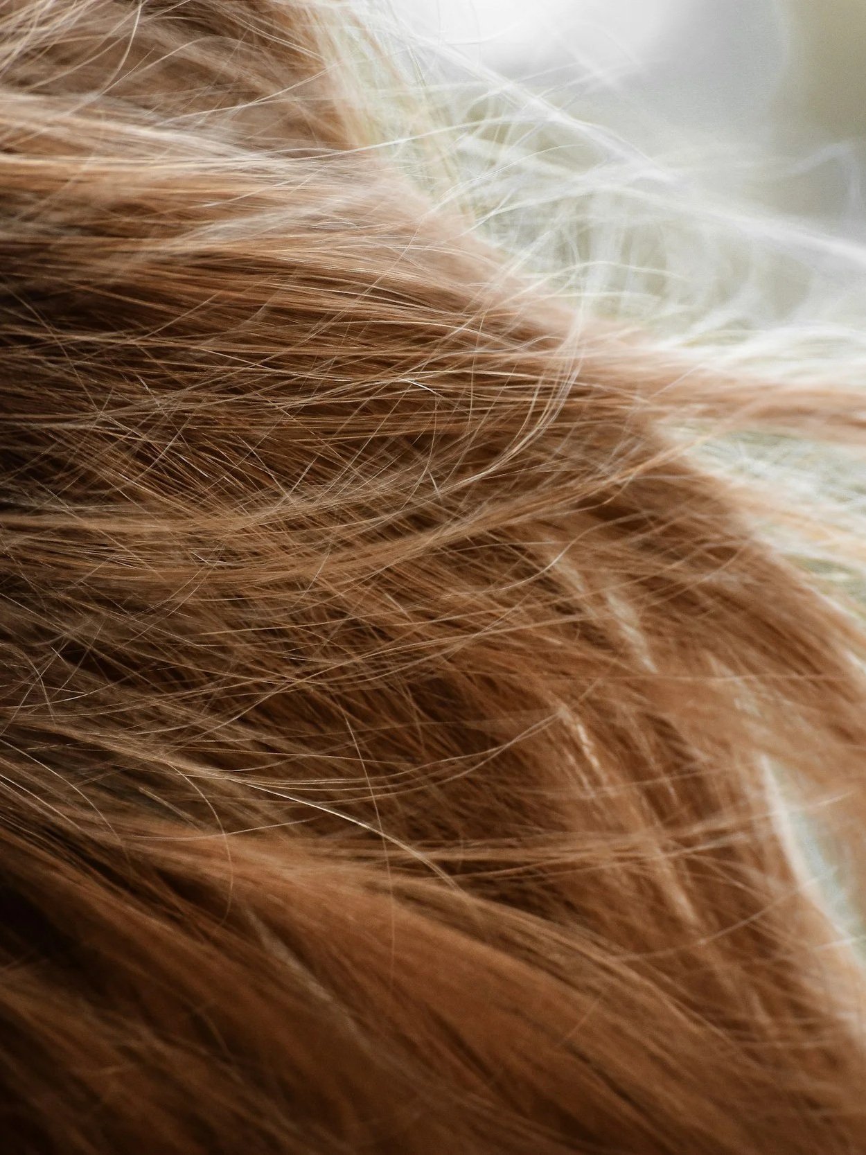 3 aliments à privilégier pour la santé des cheveux Audio