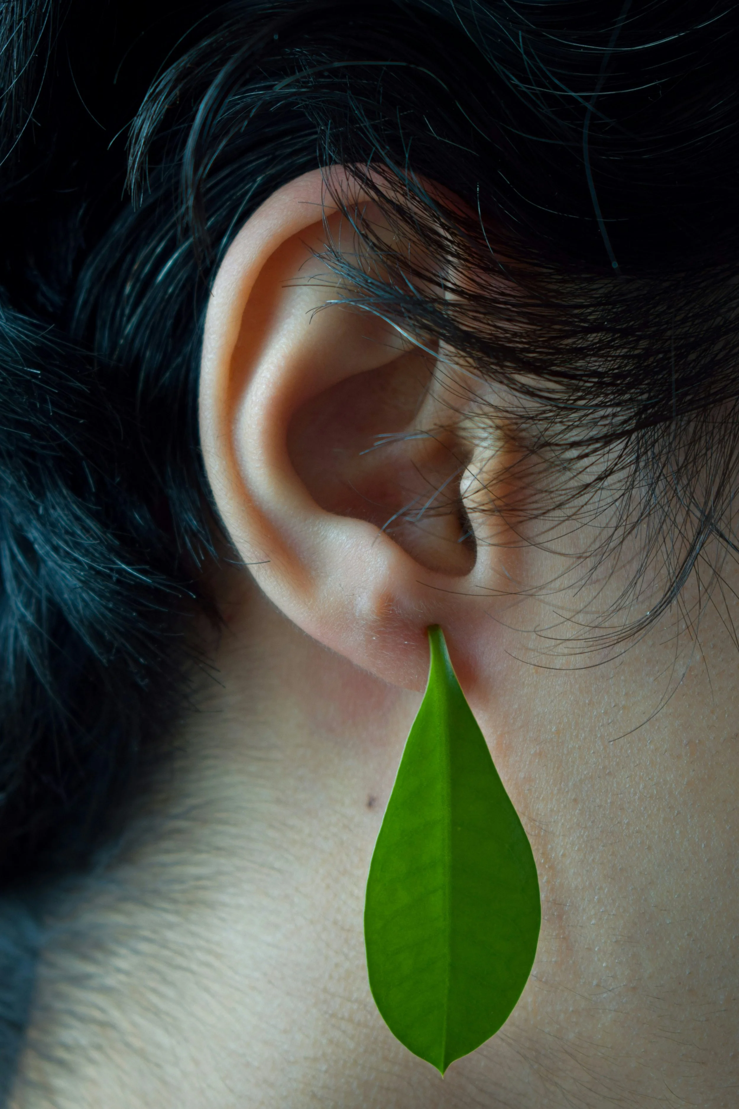 Photo de  Amin Moshrefi  sur  Unsplash
