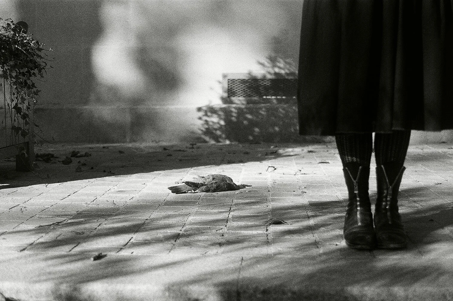 Doyle_Emily_2024_Brew Me Like Coffee, Treat Me Like A Tourist_images_22.JPG