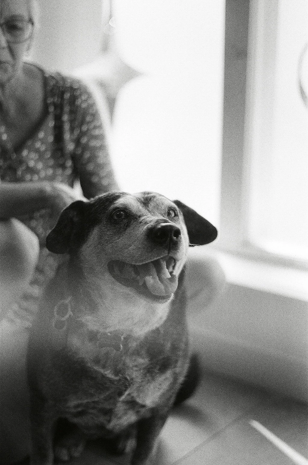 Remedy Market_Doyle_29.jpg