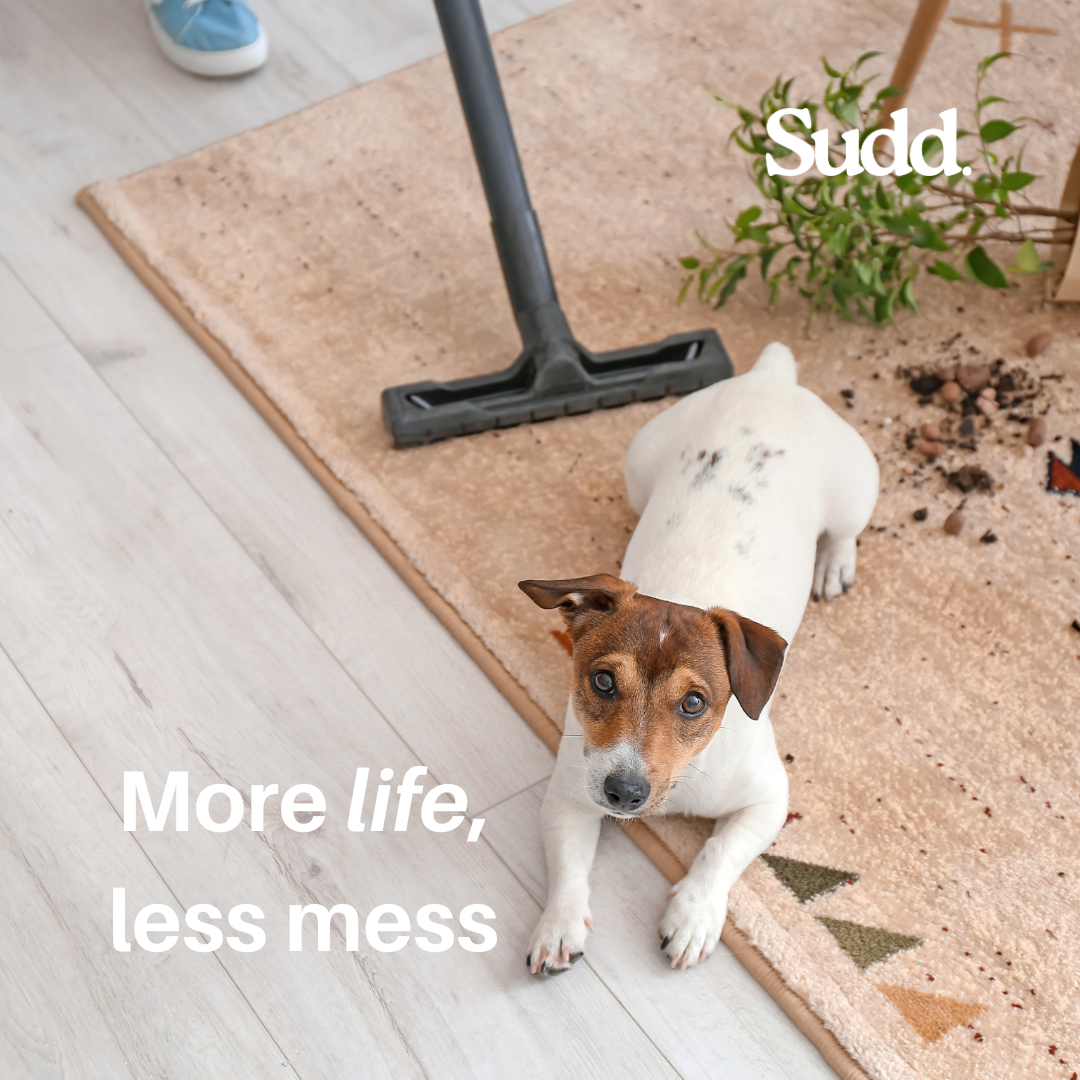 Blog | Discover Eco-Friendly Solutions — Sudd.