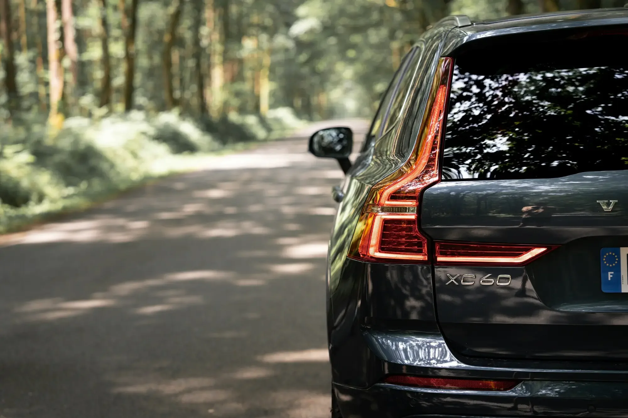 Modern SUV driving through a wooded road after professional auto glass service
