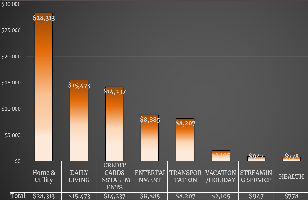 budget planner 17.png