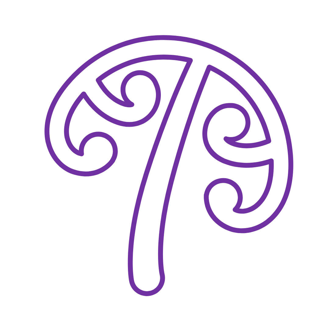 Illustrated mangopare to represent mana motuhake and self determination