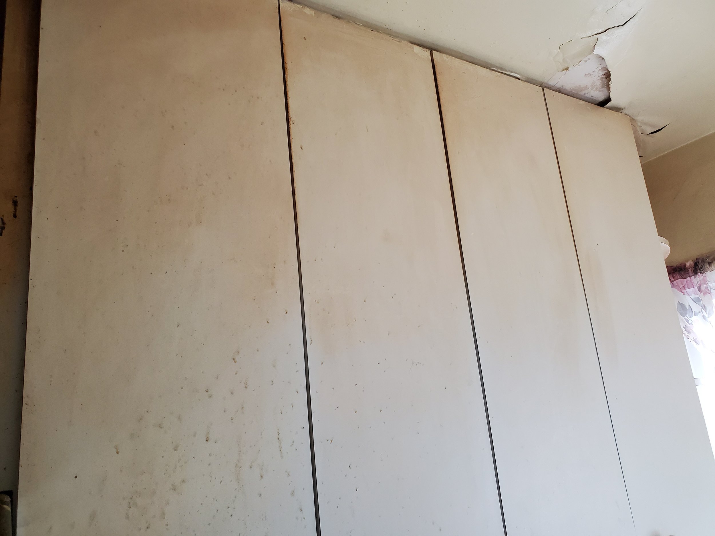 Greasy & Dirty Cabinets - BEFORE CLEAN-UP
