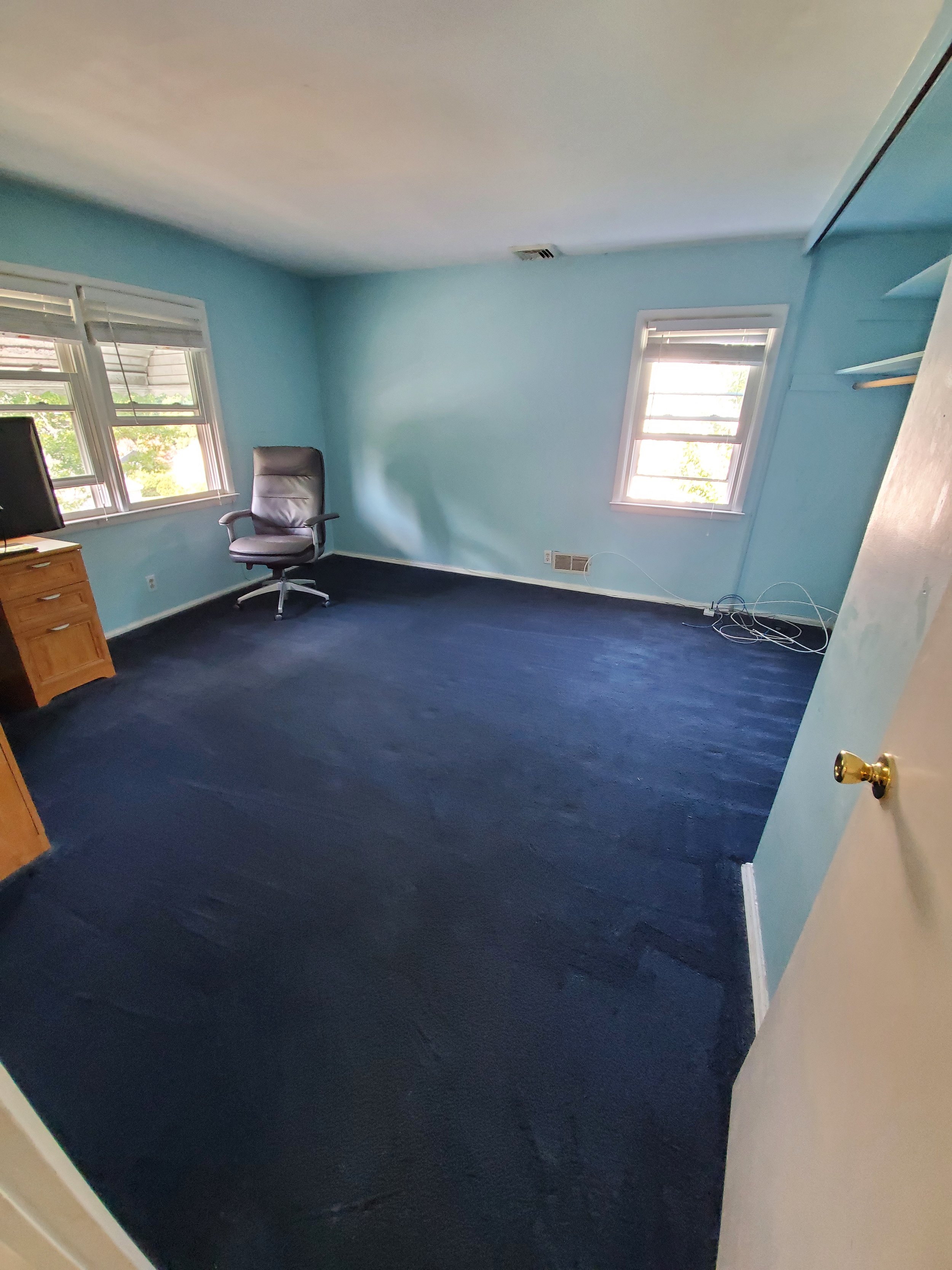 Carpet with dust , debris and dog hair removed - AFTER CARPET CLEANING