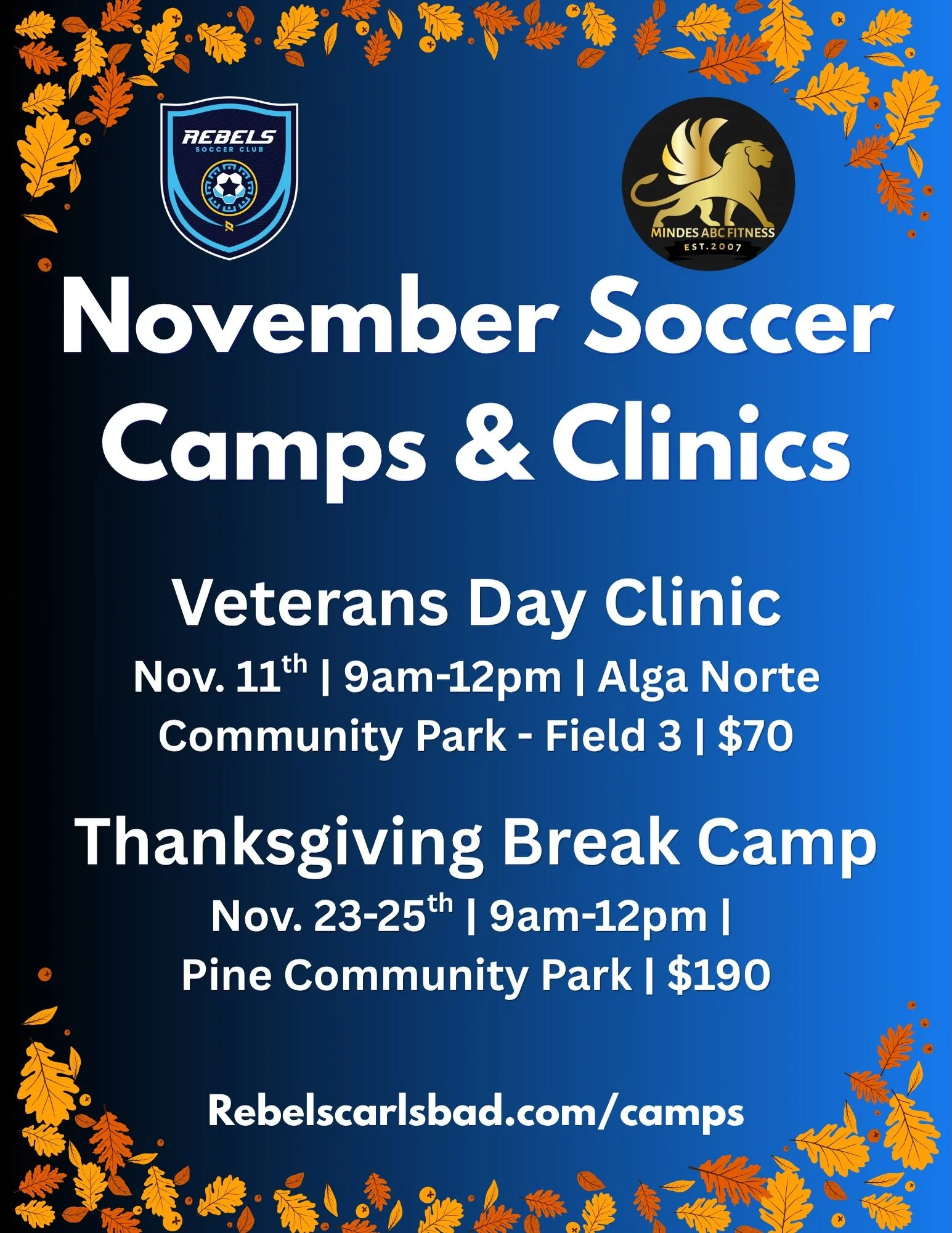 Holiday Camps are right around the corner! Combining soccer, fitness, and fun makes these camps unlike any other soccer camp out there! We are open to players from ALL clubs. 

Don&rsquo;t miss out on our upcoming clinics and camps over the next 3 mo