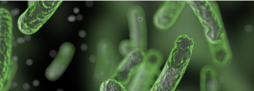 E. coli & the Rise of Plasmid DNA: Biotech’s Hidden Engine — Novel Bio