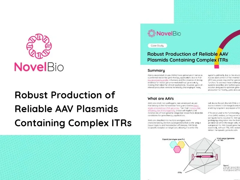 Case Study ITR Stability
