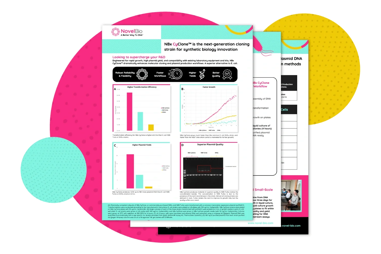 NBx Cyclone Product Overview