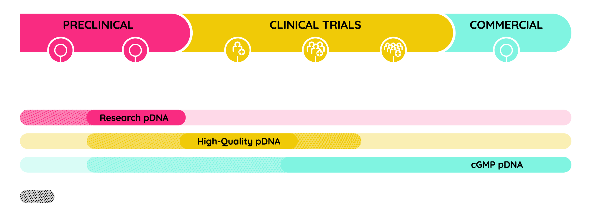 Plasmid DNA Services at Each Phase