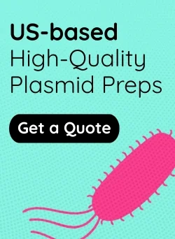 High Quality Plasmid Preps