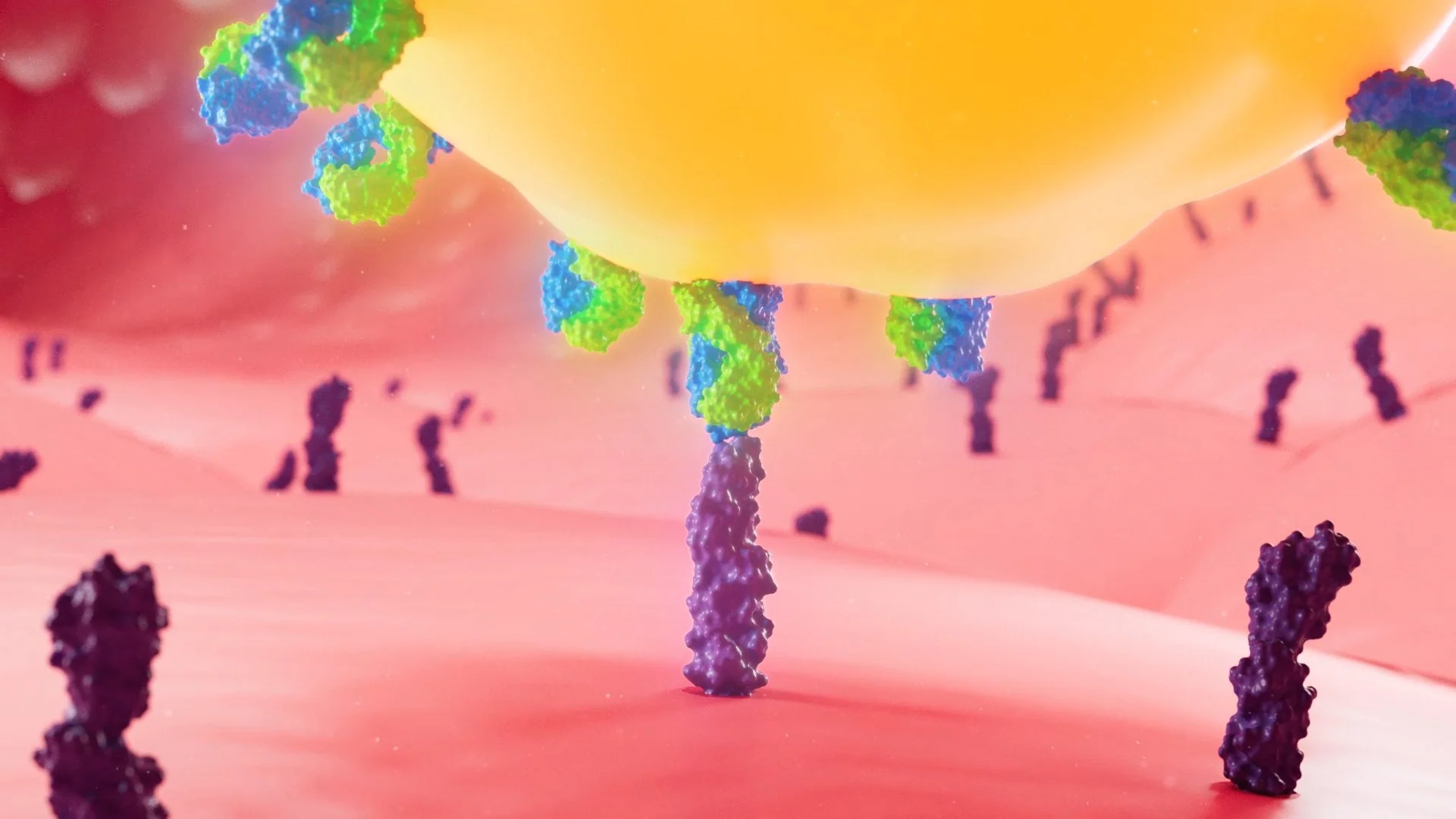 ITGB3 &amp; Multiple Sclerosis: When Doctoral Research Becomes an Animation