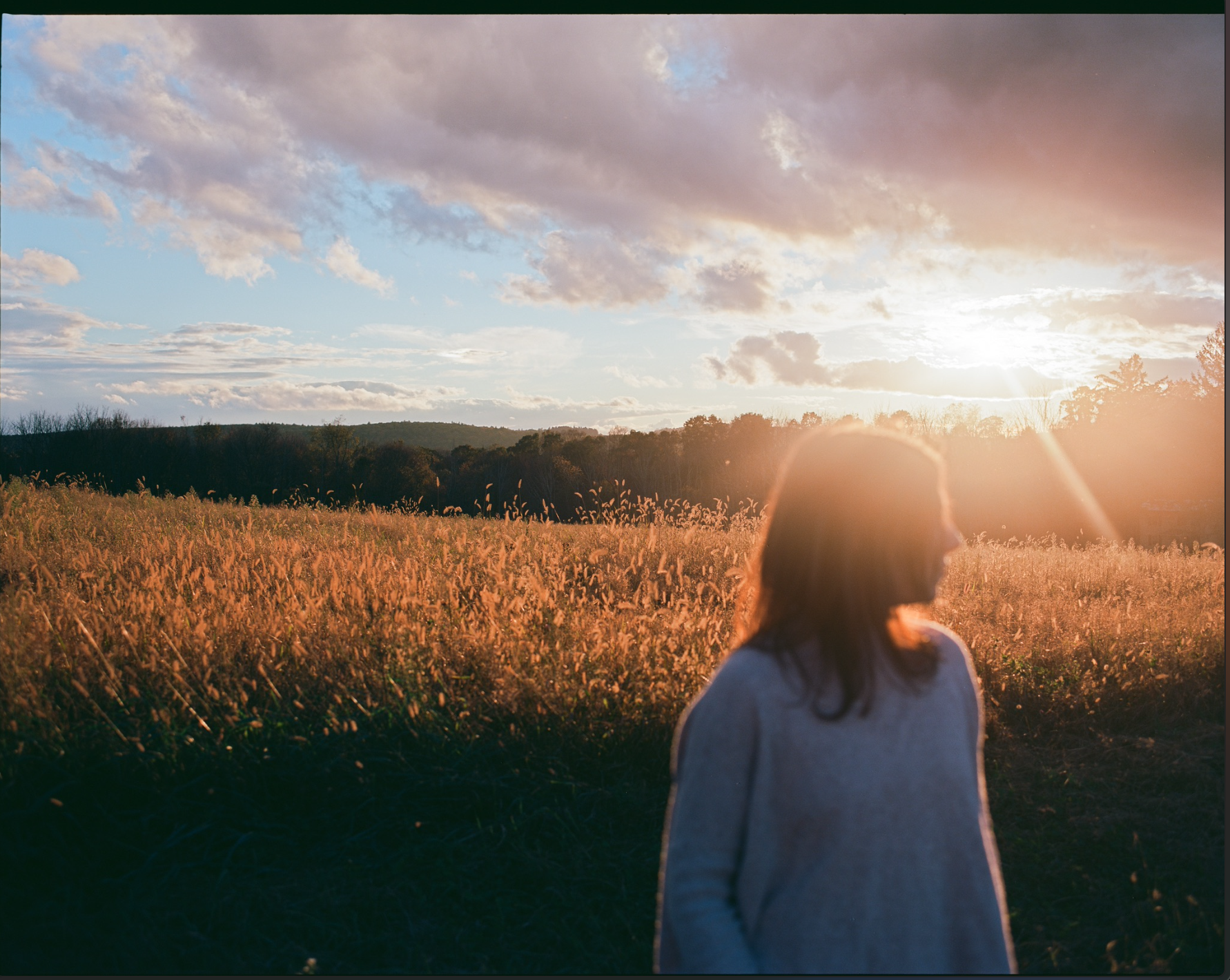 Screen Shot 2024-07-26 at 10.16.28 AM.png