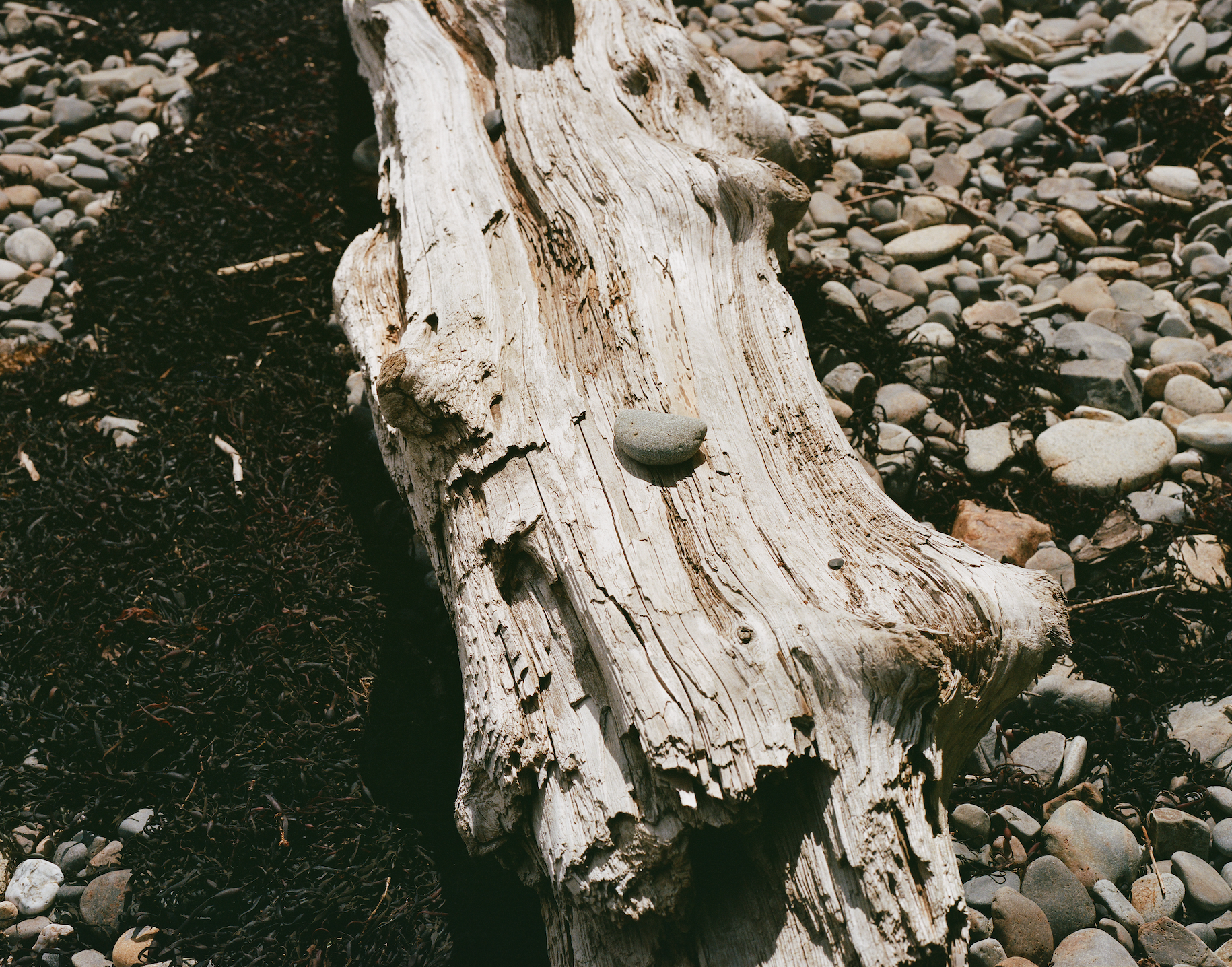 Screen Shot 2024-07-26 at 1.09.46 PM.png